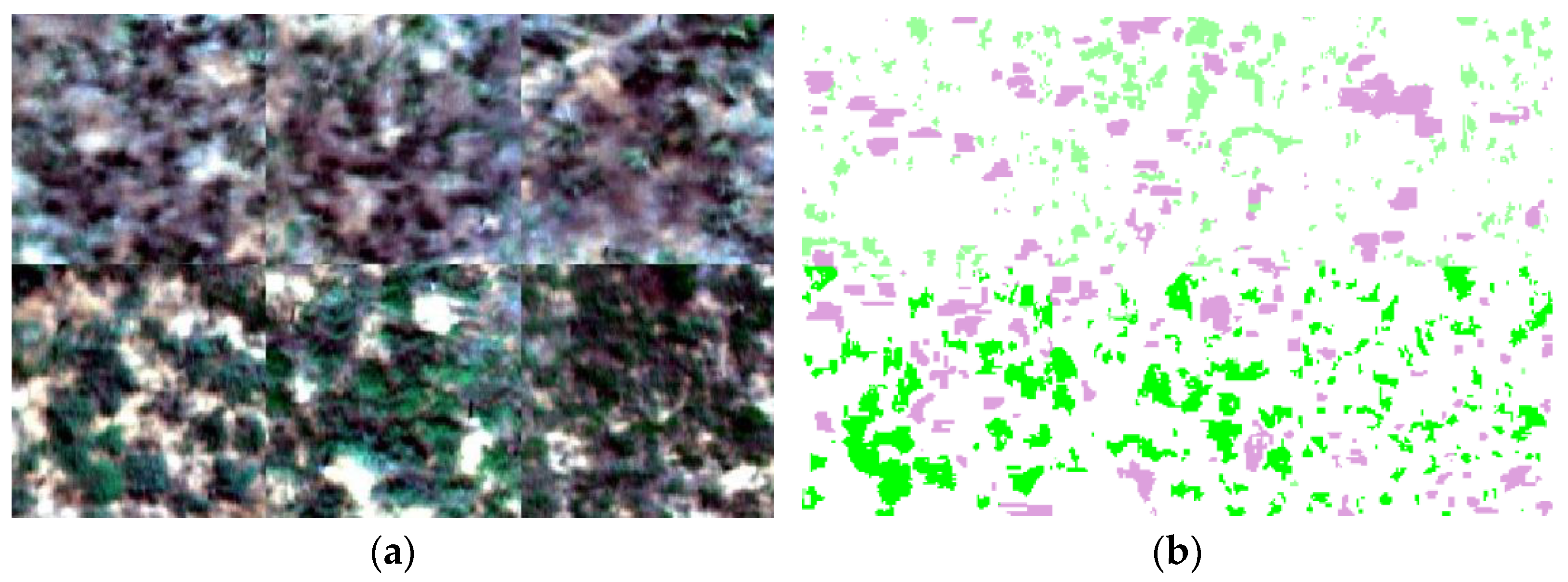 Sensors 24 01114 g004