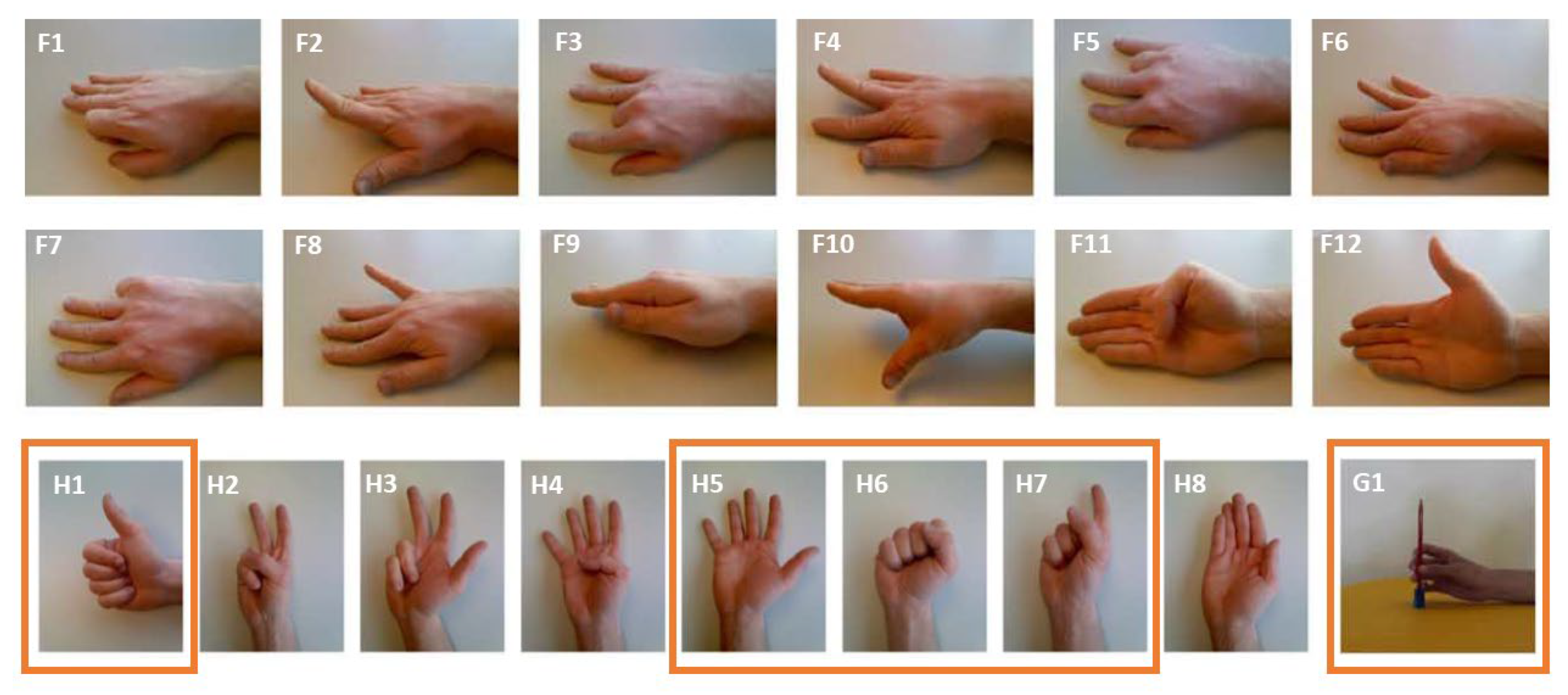 Sensors 24 01119 g005