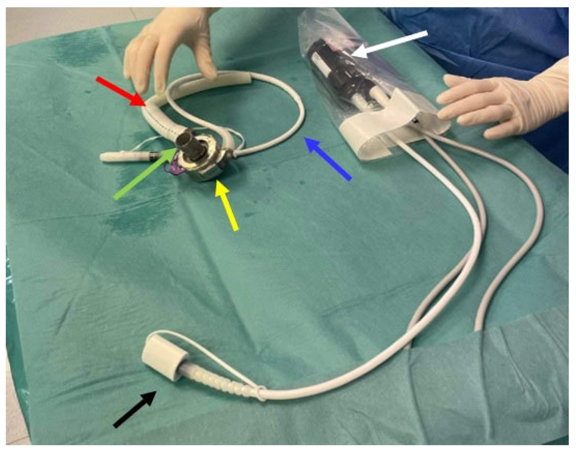 Sensors 24 01124 g002