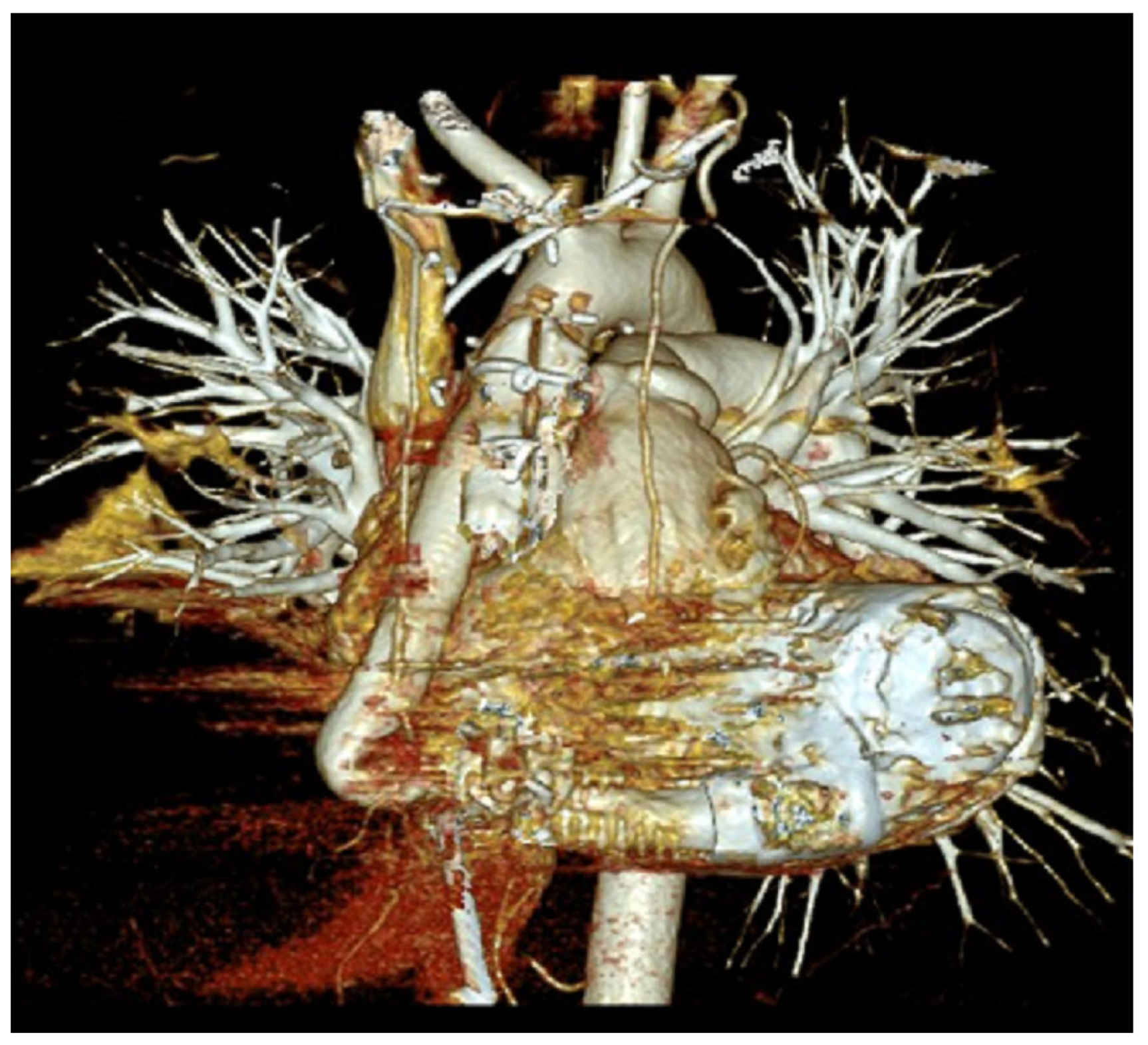 Sensors 24 01124 g003