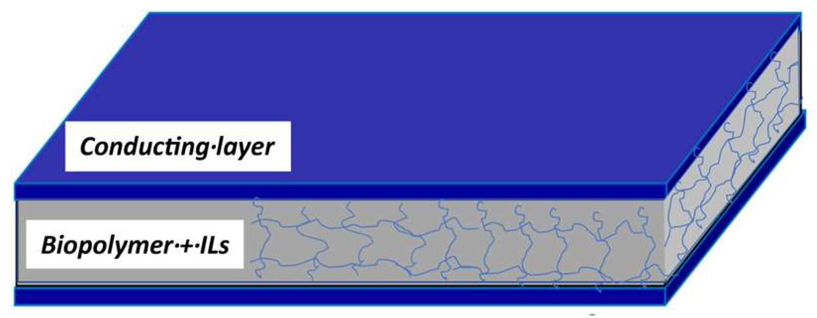Sensors 24 01176 g001