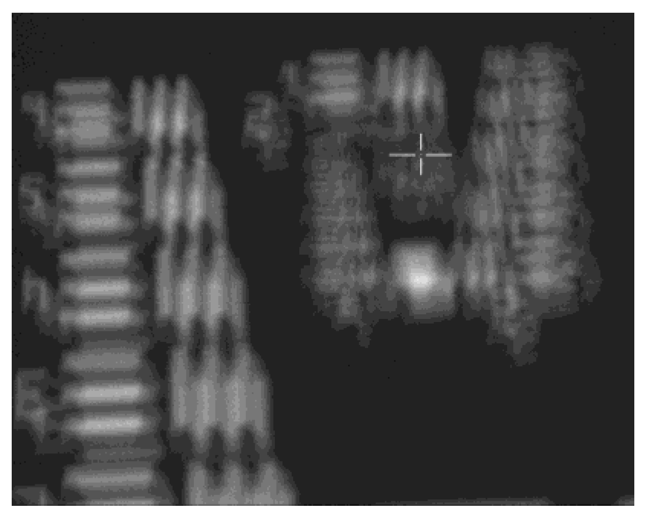 Sensors 24 01194 g002