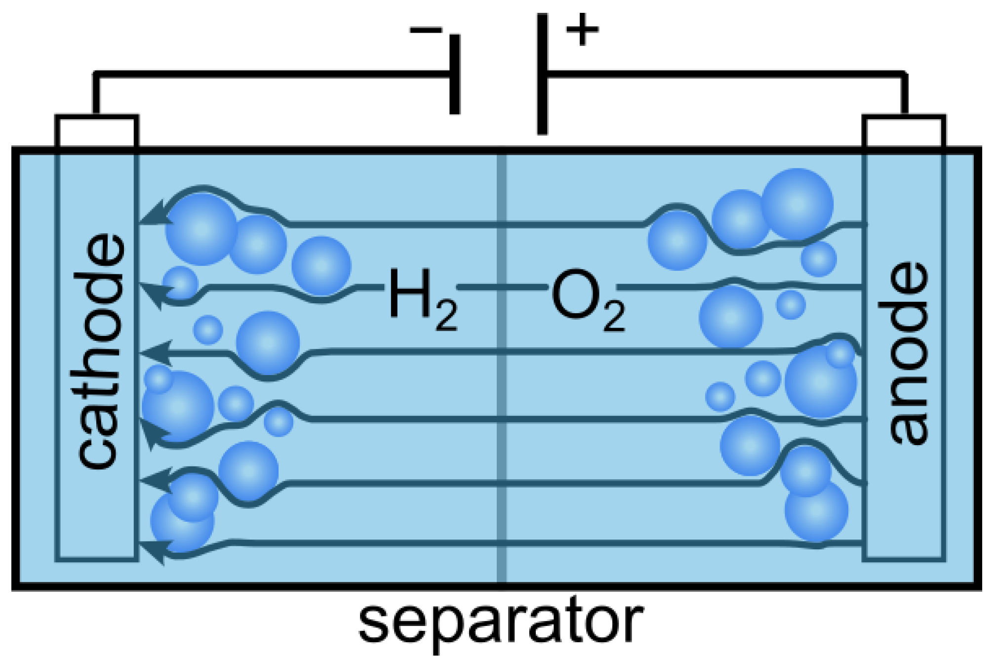 Sensors 24 01213 g001