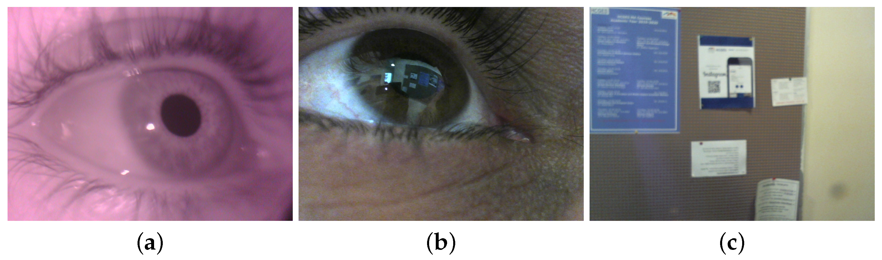 Sensors 24 01237 g003