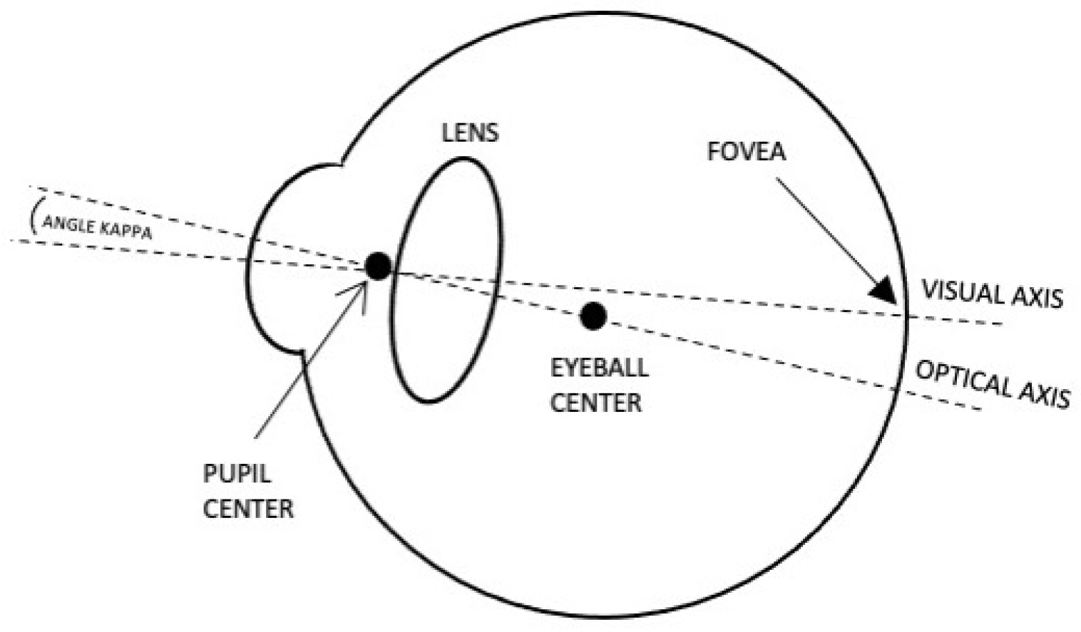 Sensors 24 01237 g004