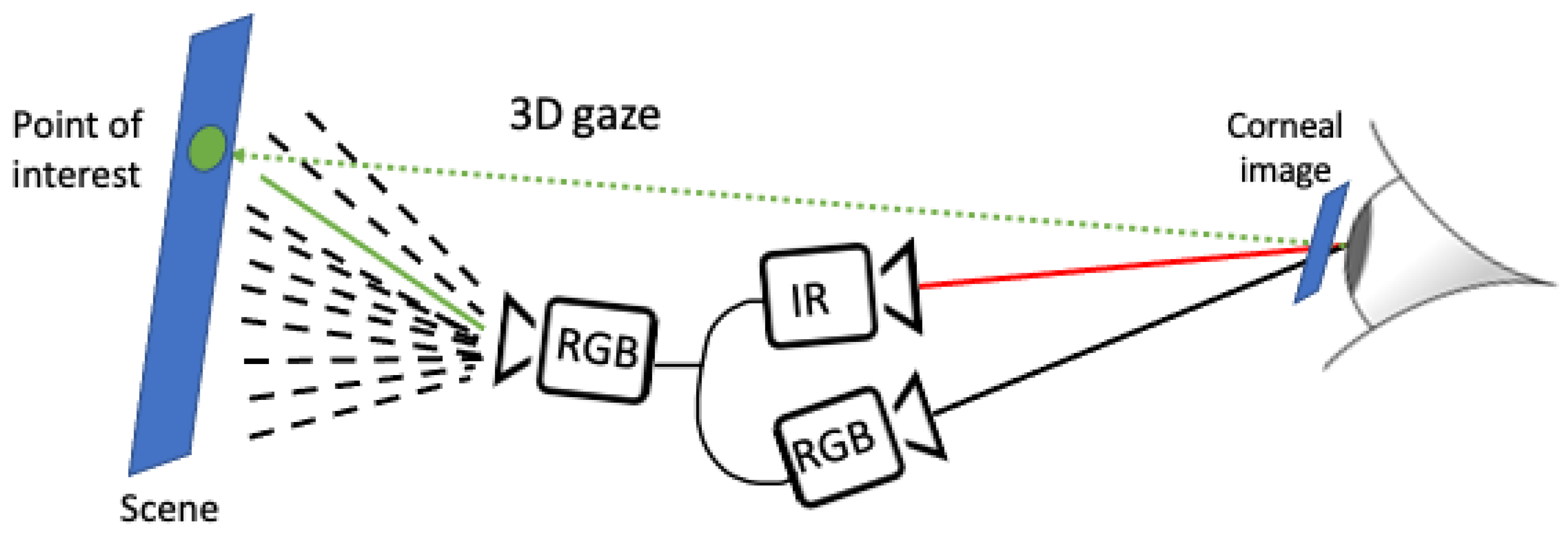 Sensors 24 01237 g006