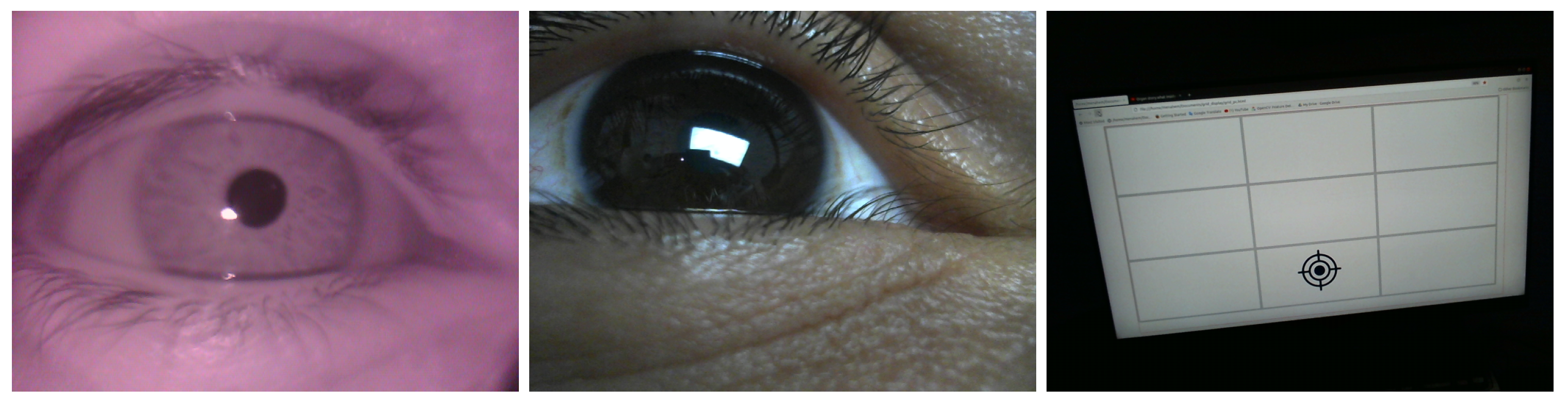 Sensors 24 01237 g012