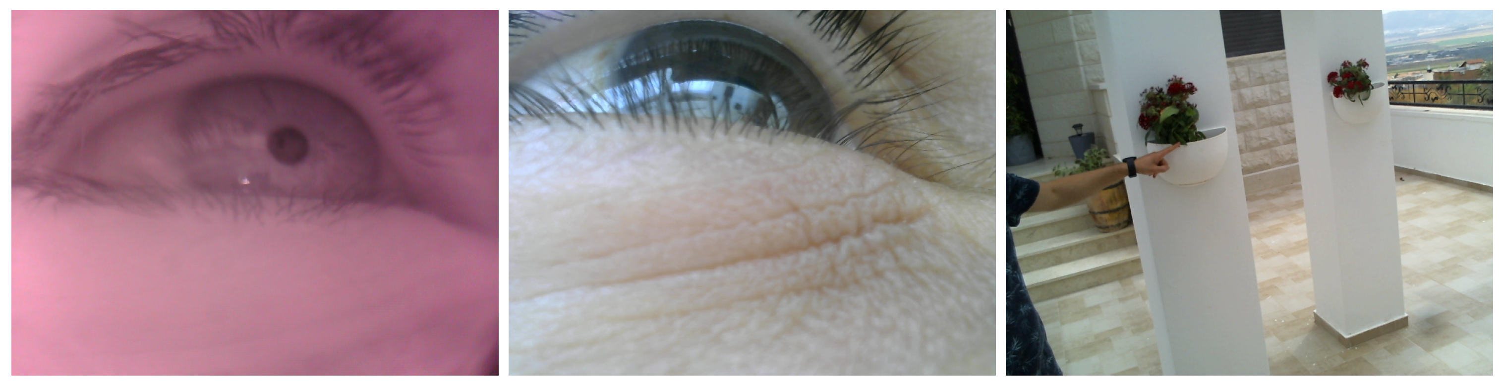 Sensors 24 01237 g013