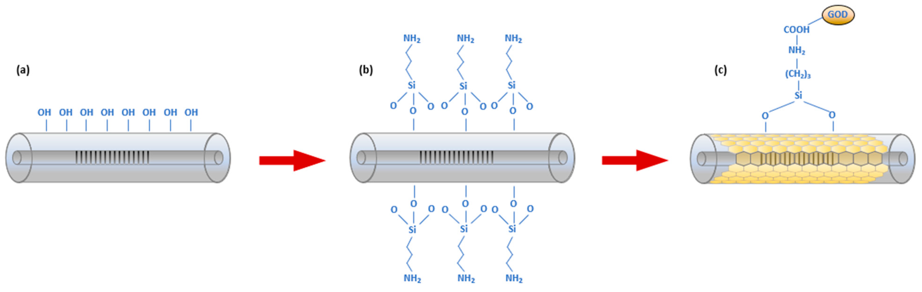 Sensors 24 01247 g005