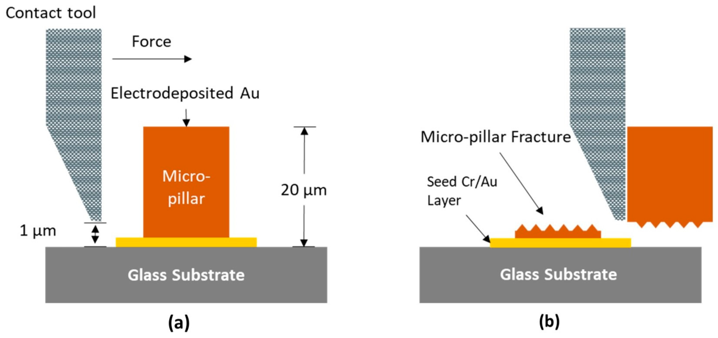 Sensors 24 01251 g002
