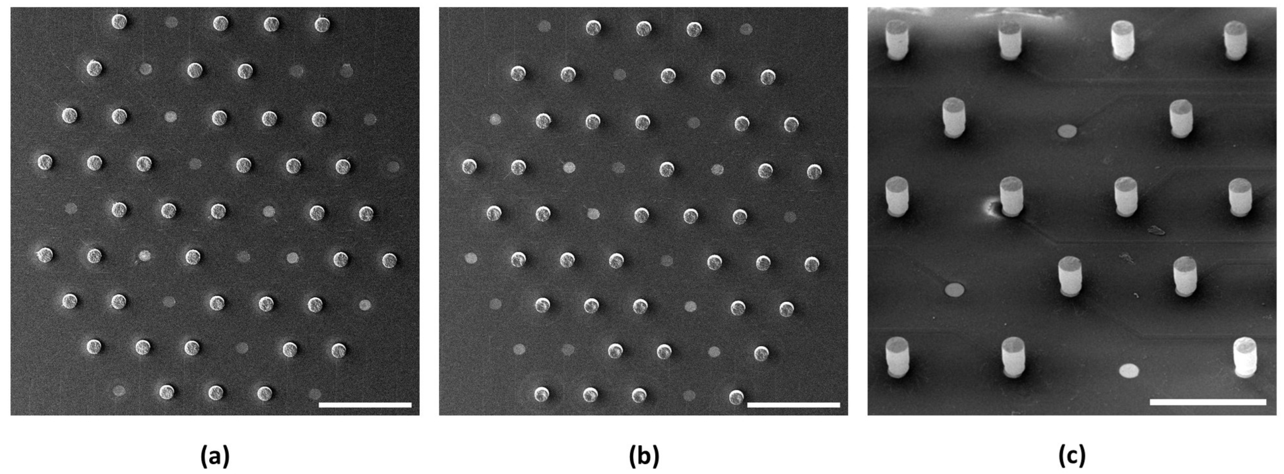 Sensors 24 01251 g005