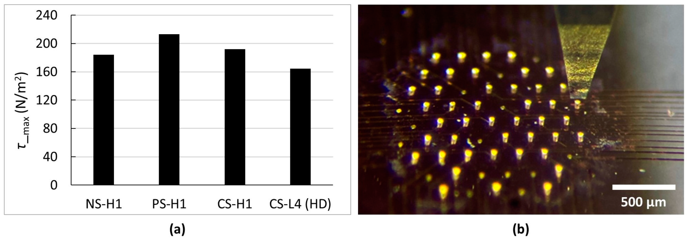 Sensors 24 01251 g006