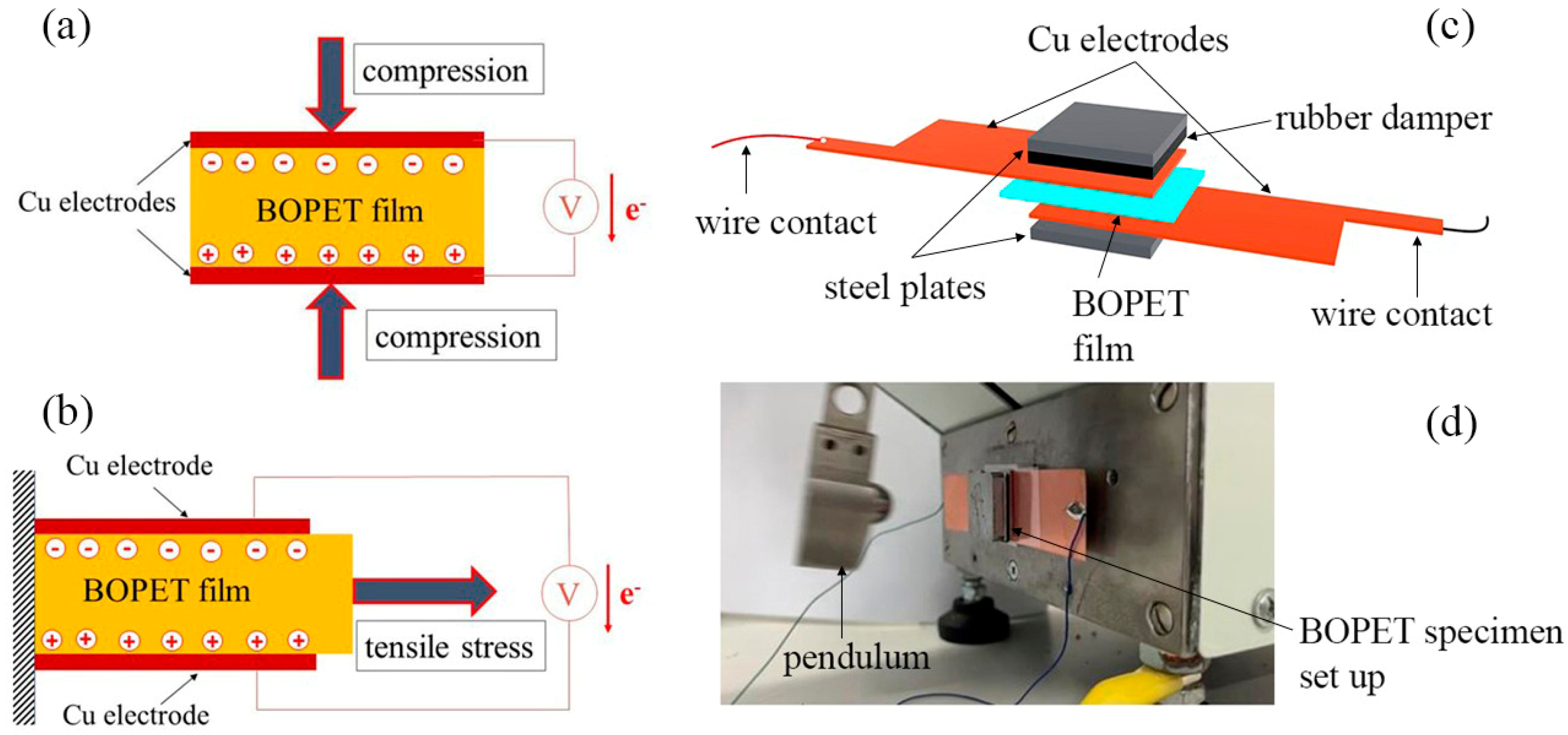 Sensors 24 01275 g005