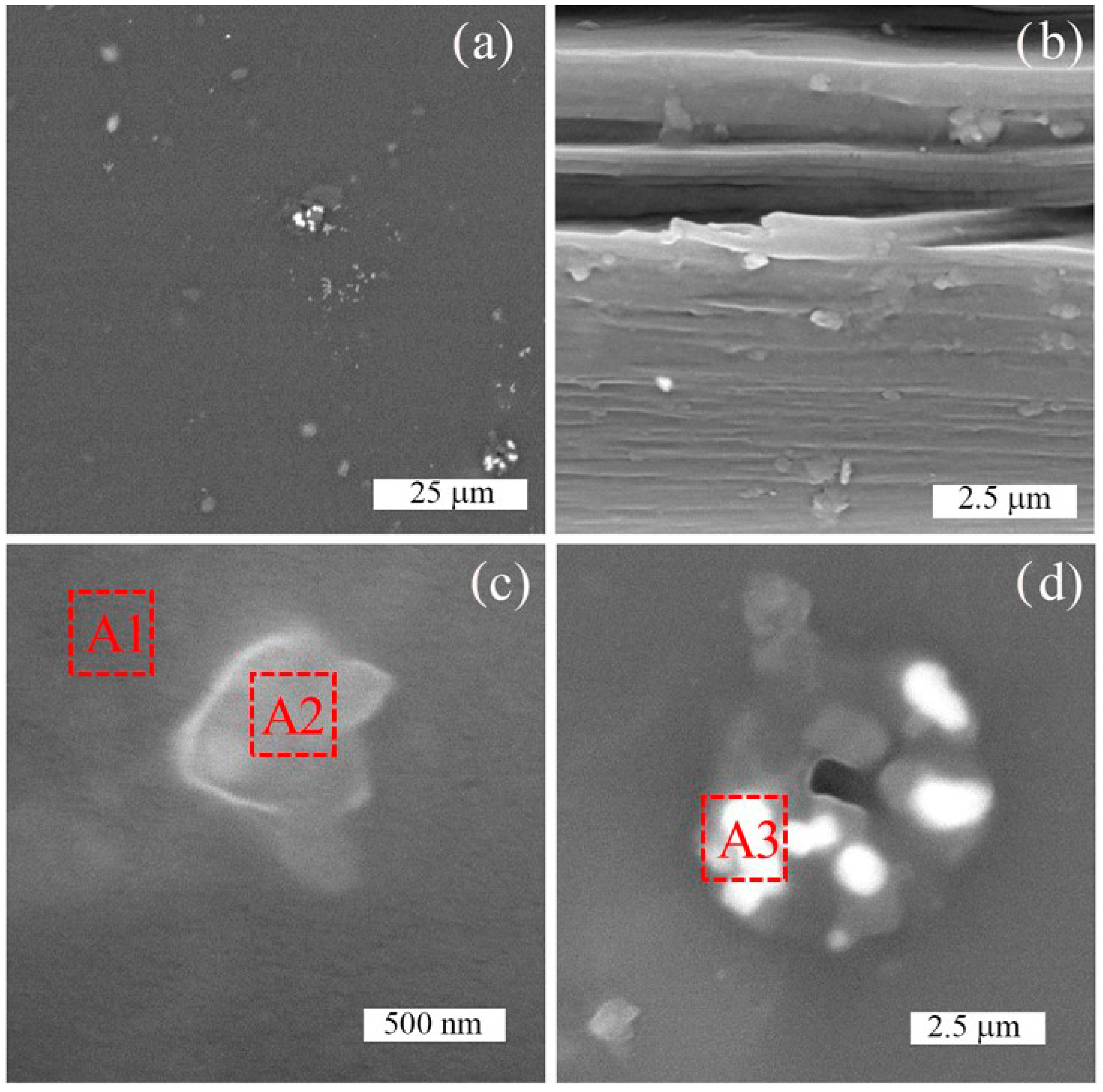 Sensors 24 01275 g007