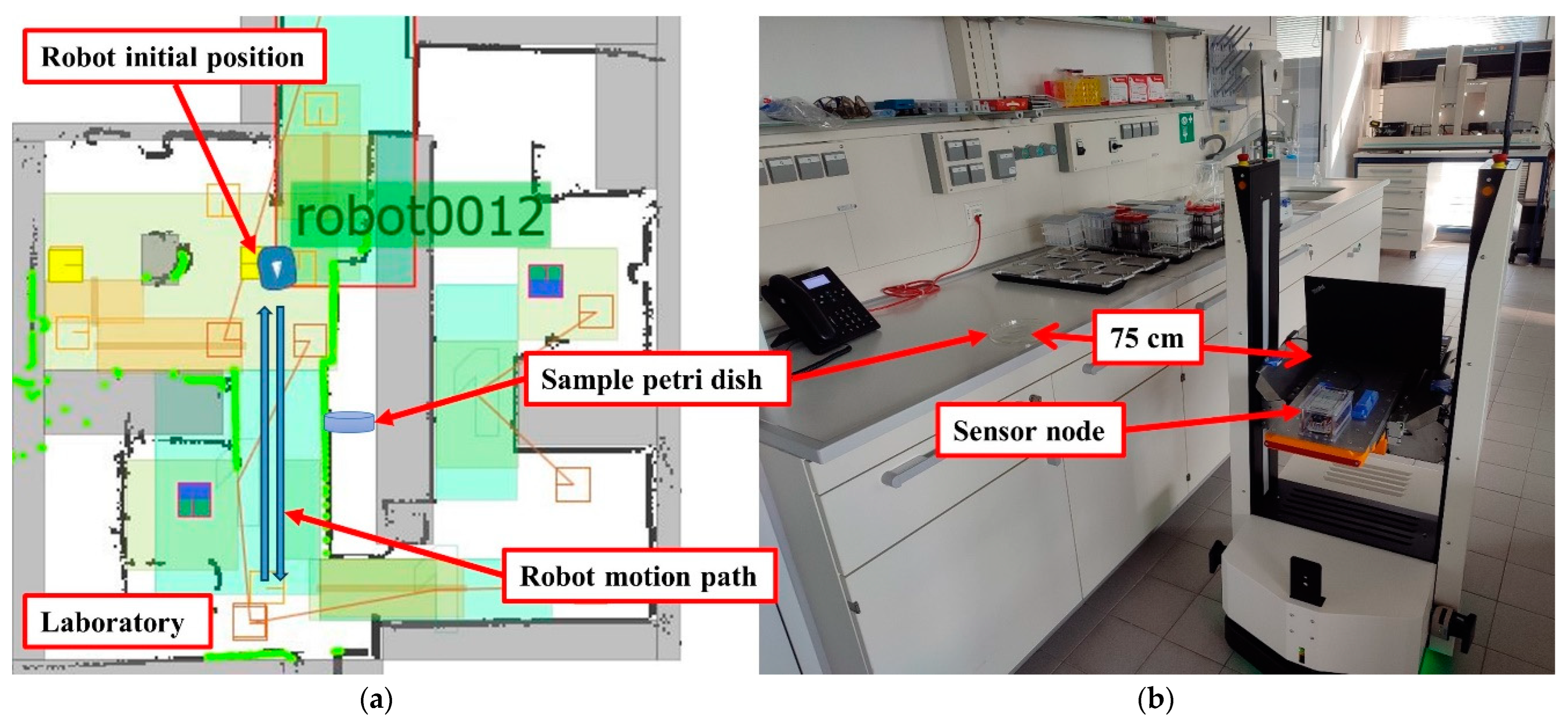 Sensors 24 01295 g005