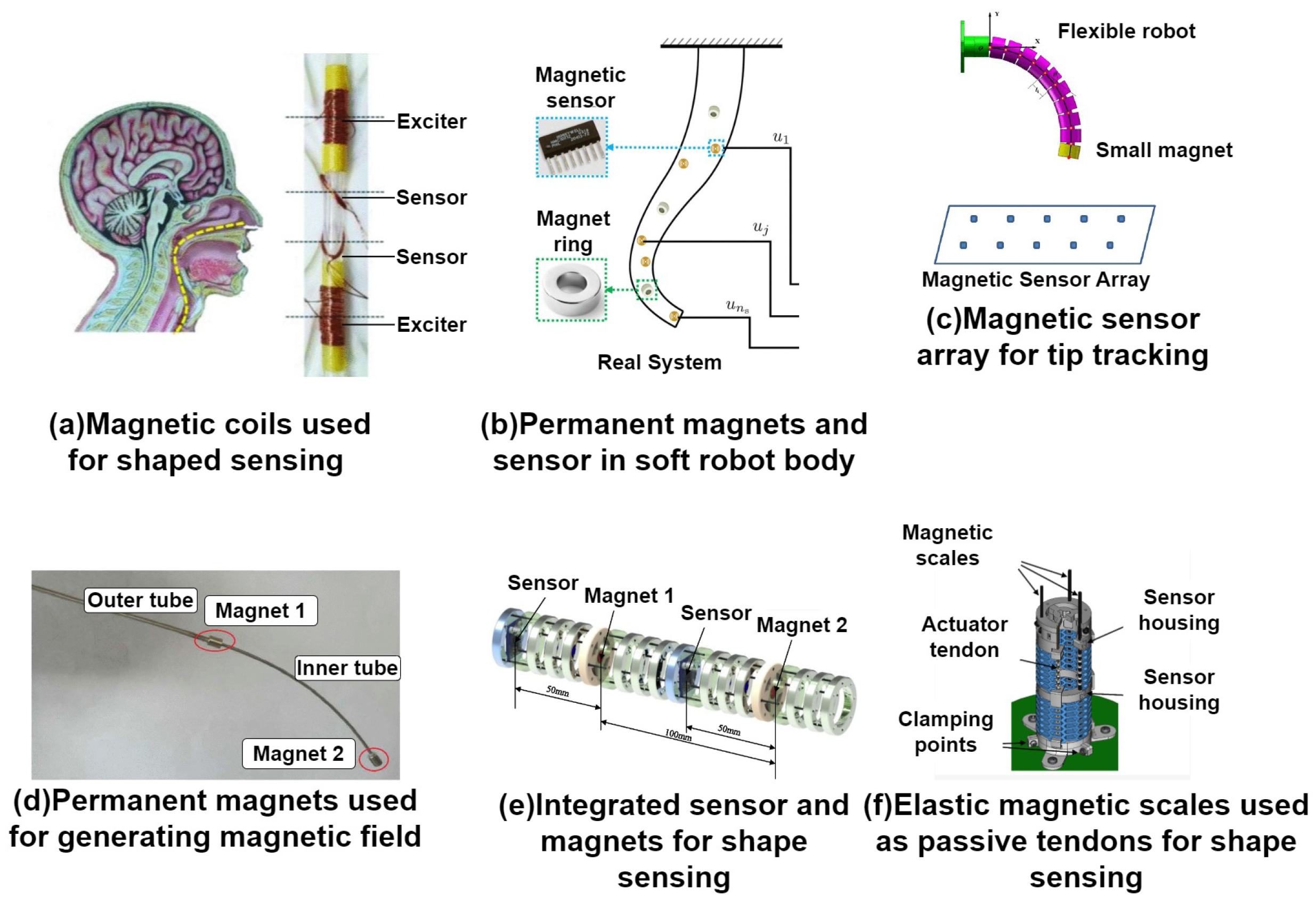 Sensors 24 01311 g006 Sensors 24 01311 g006