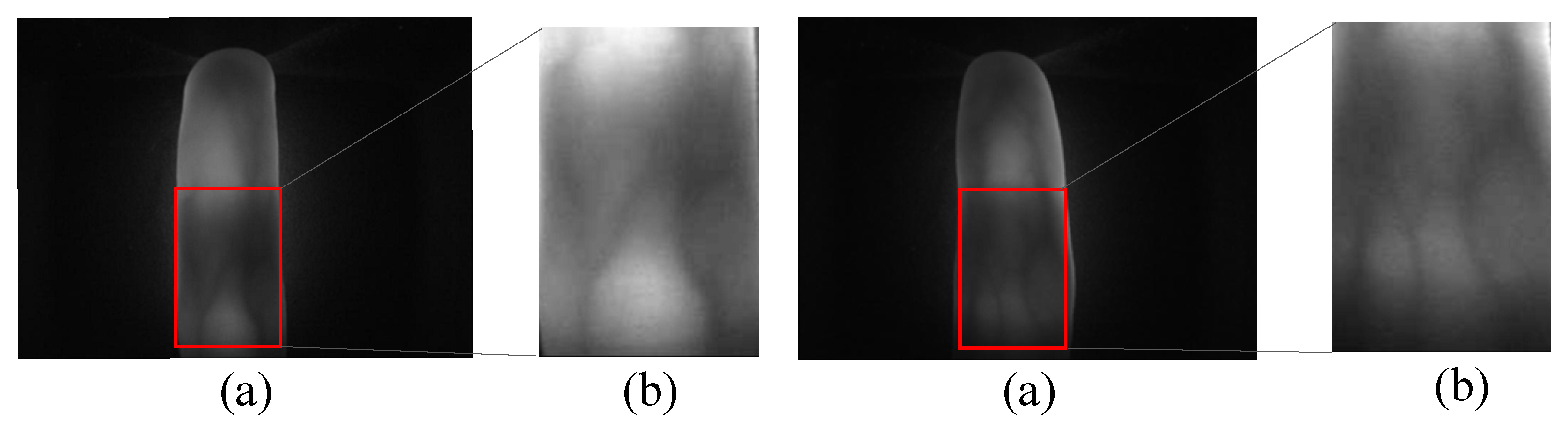 Sensors 24 01331 g001