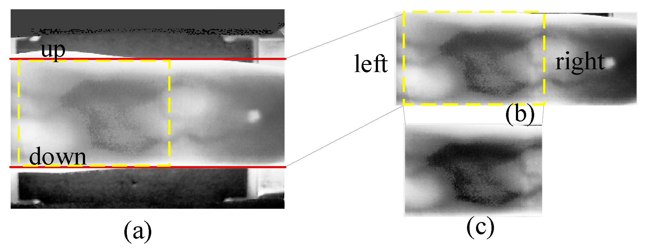Sensors 24 01331 g003