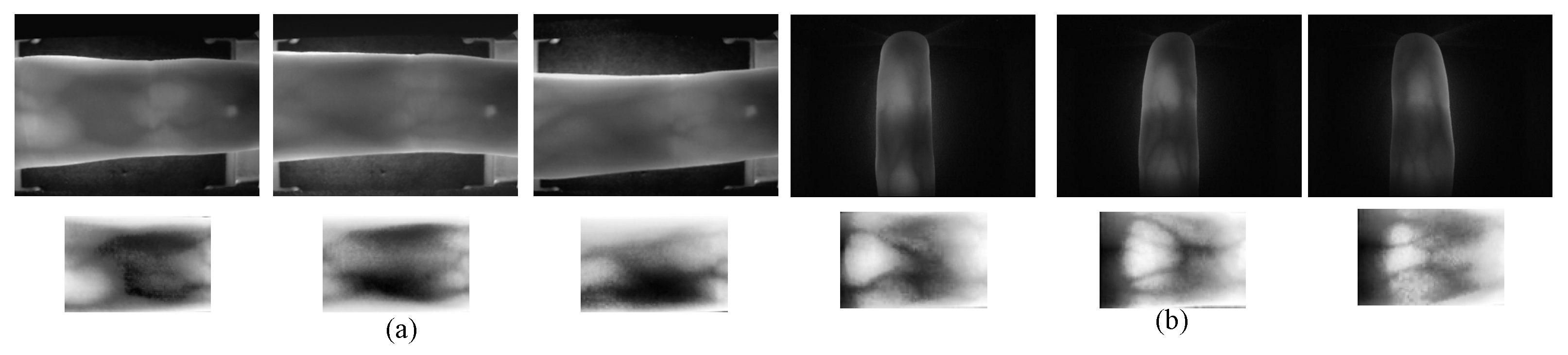 Sensors 24 01331 g005