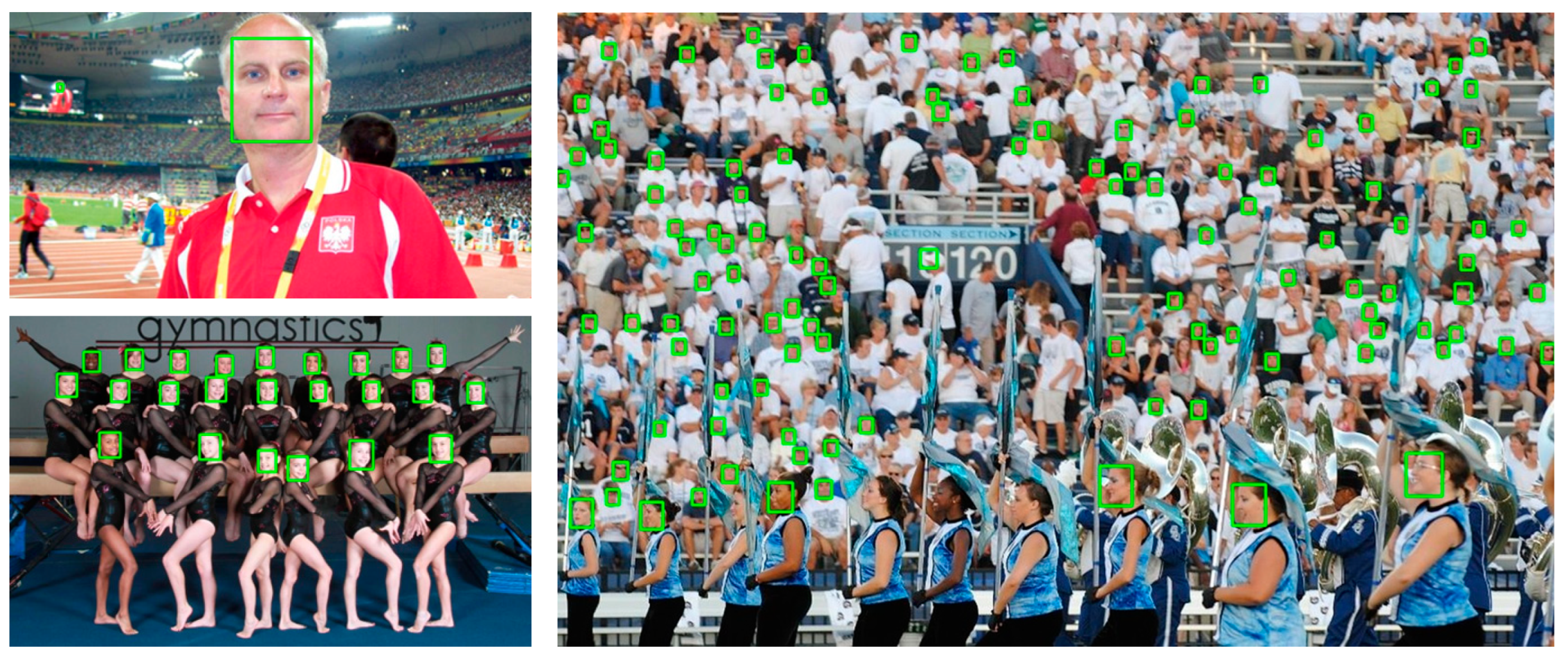 Sensors 24 01365 g007