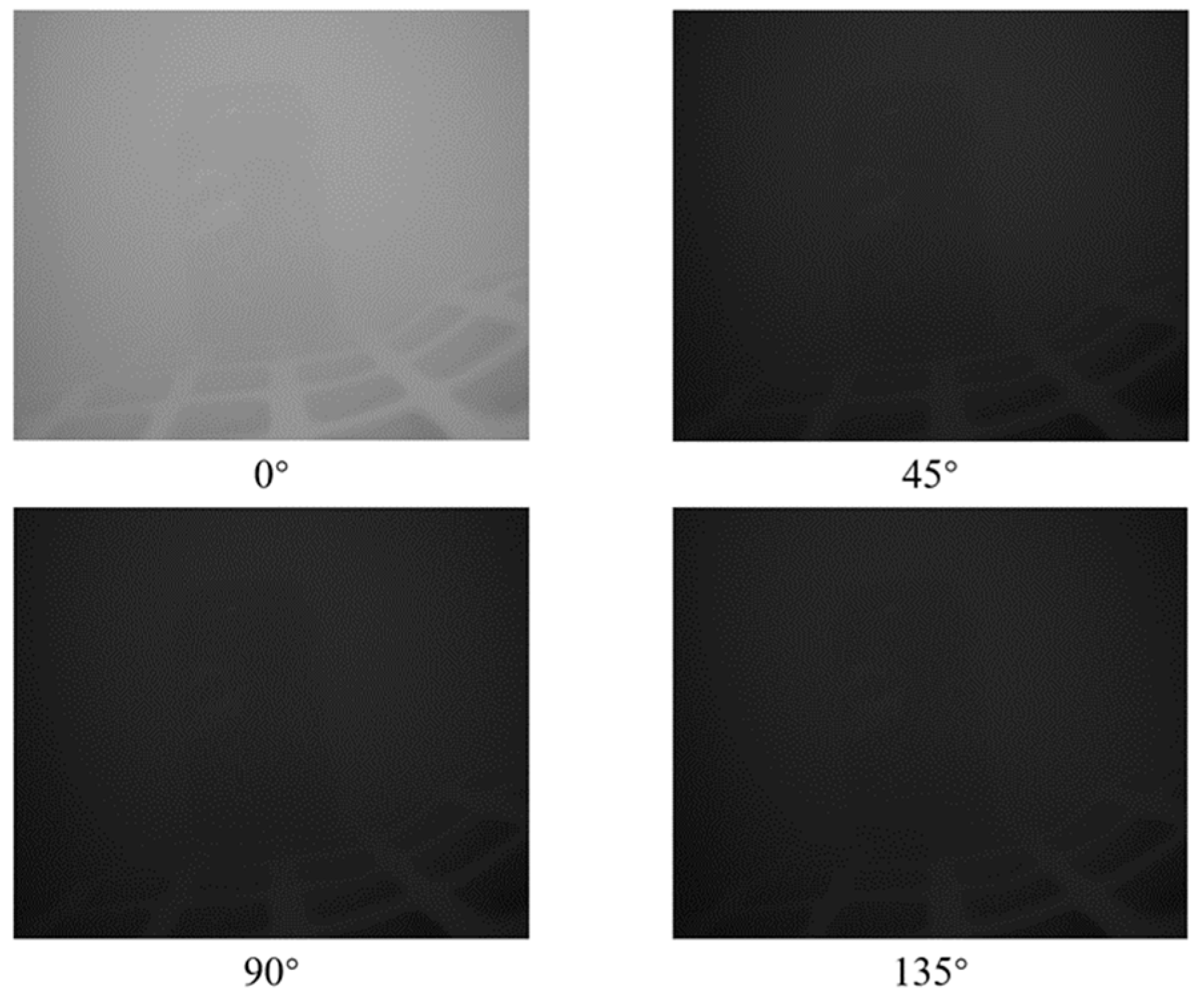 Sensors 24 01367 g006