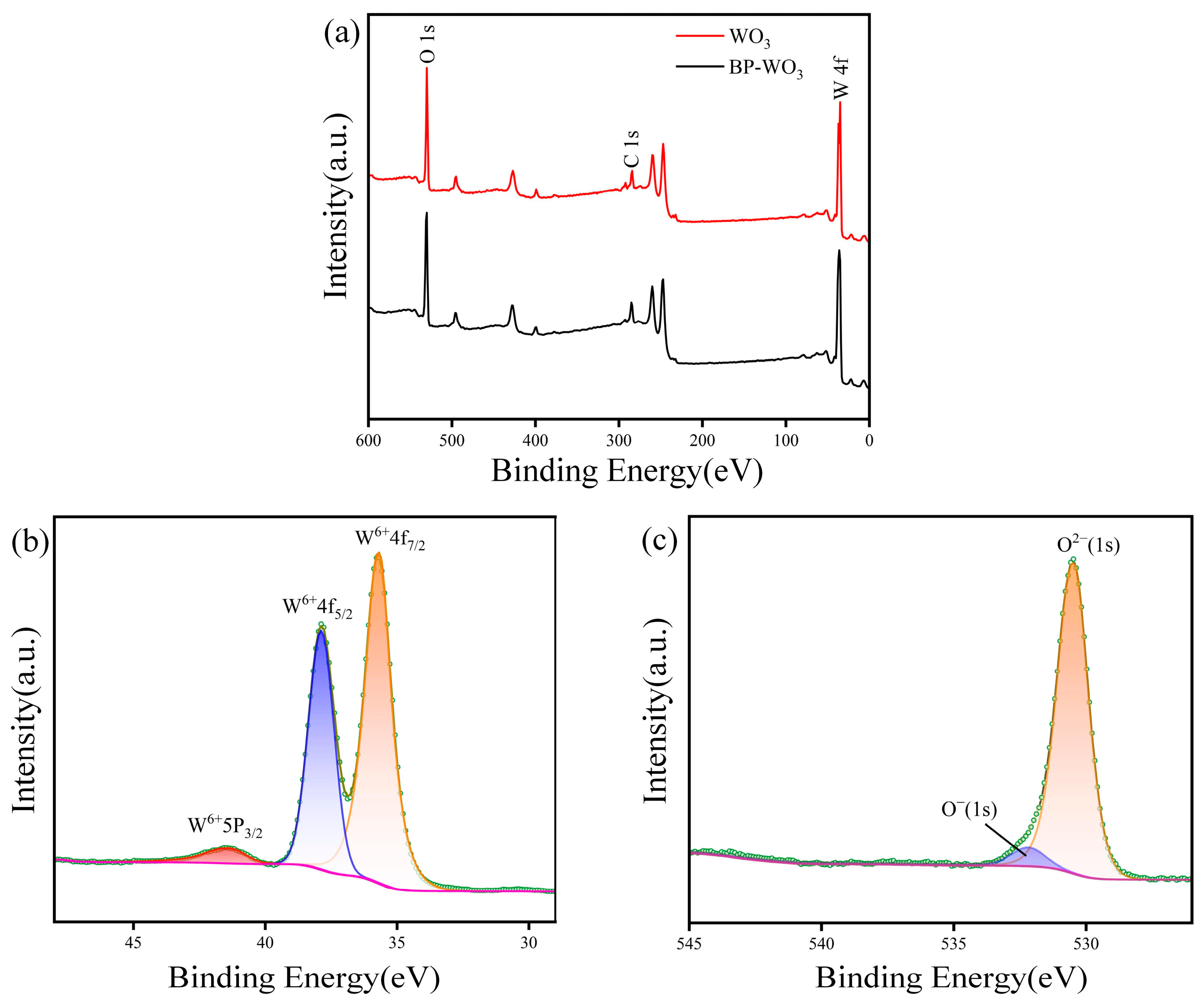Sensors 24 01376 g005