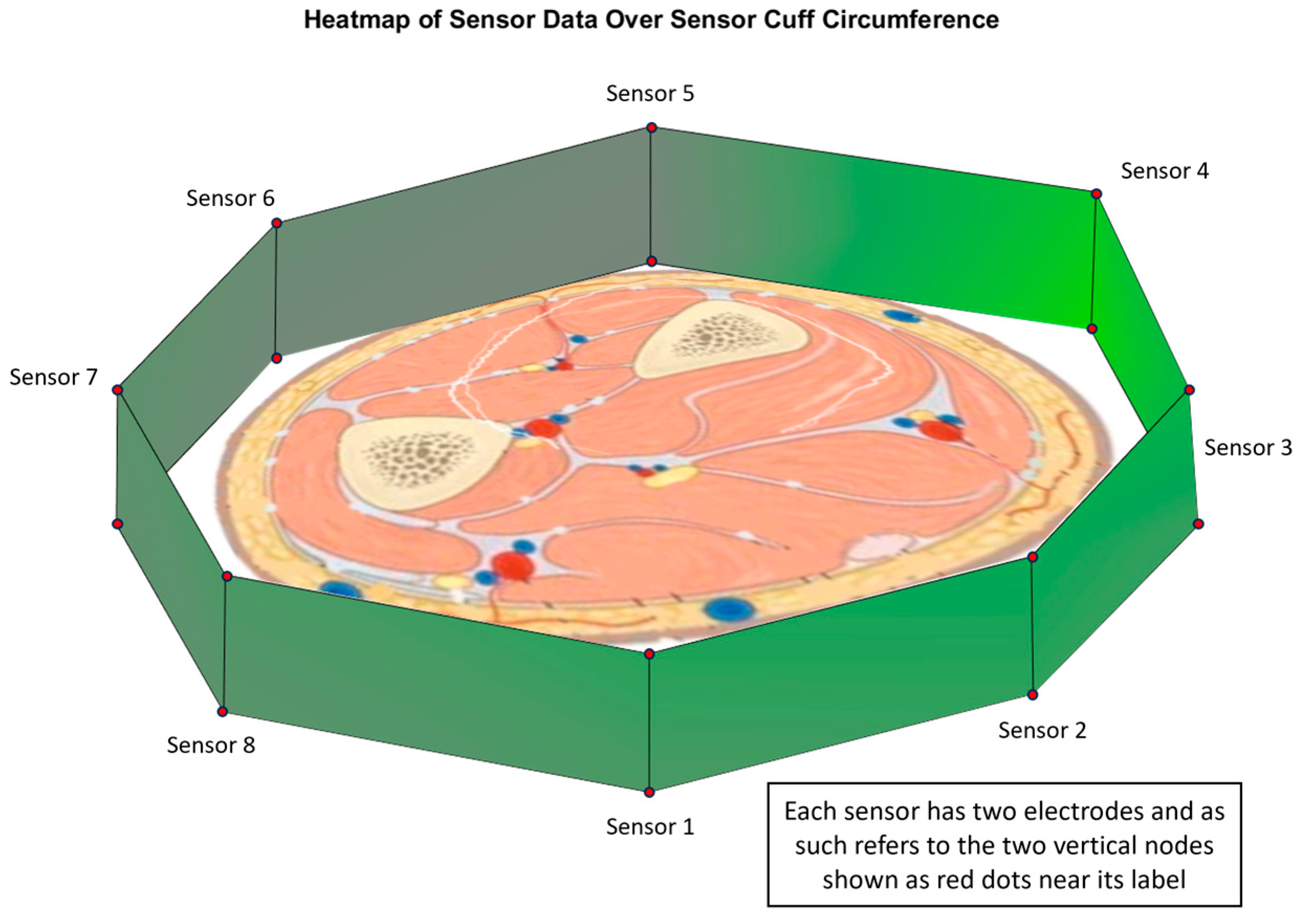 Sensors 24 01379 g008