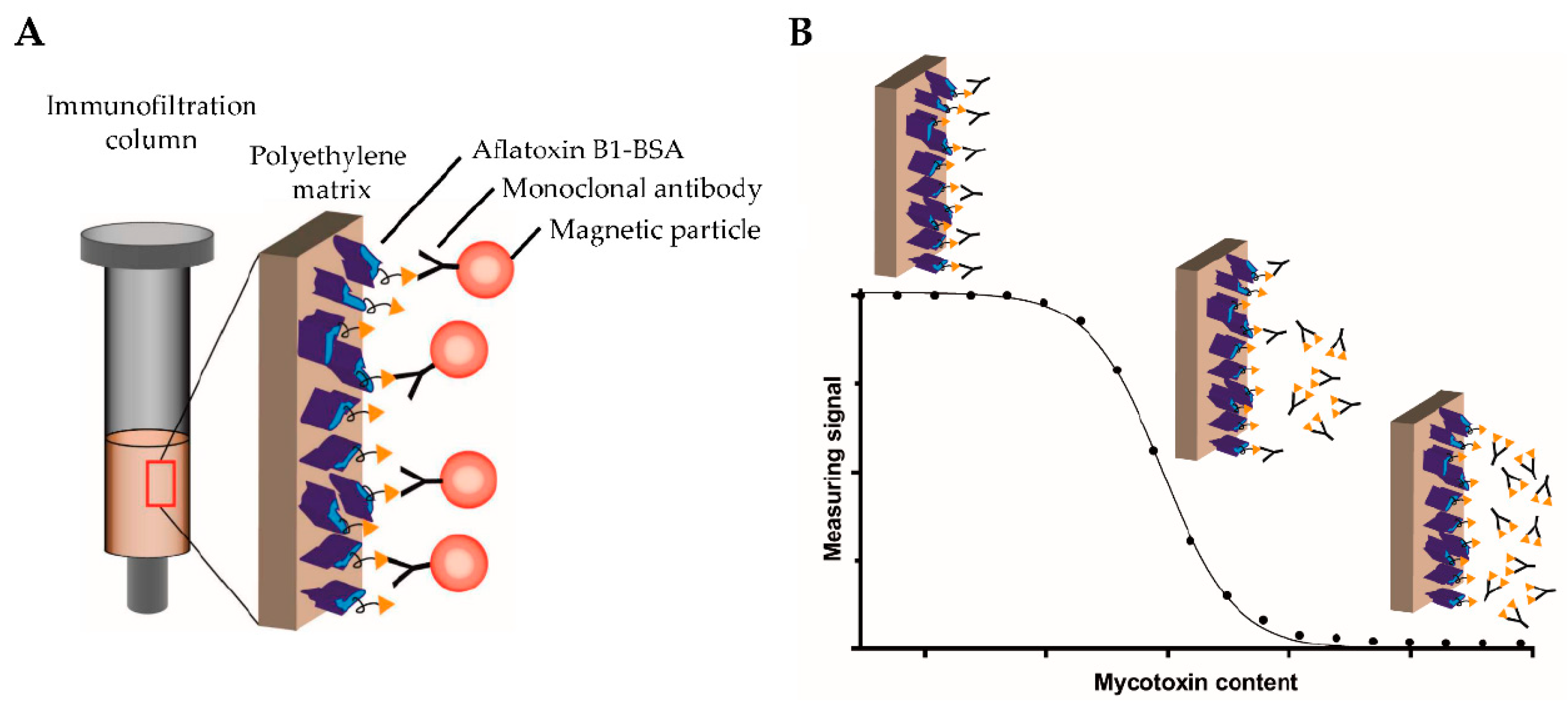 Sensors 24 01383 g006
