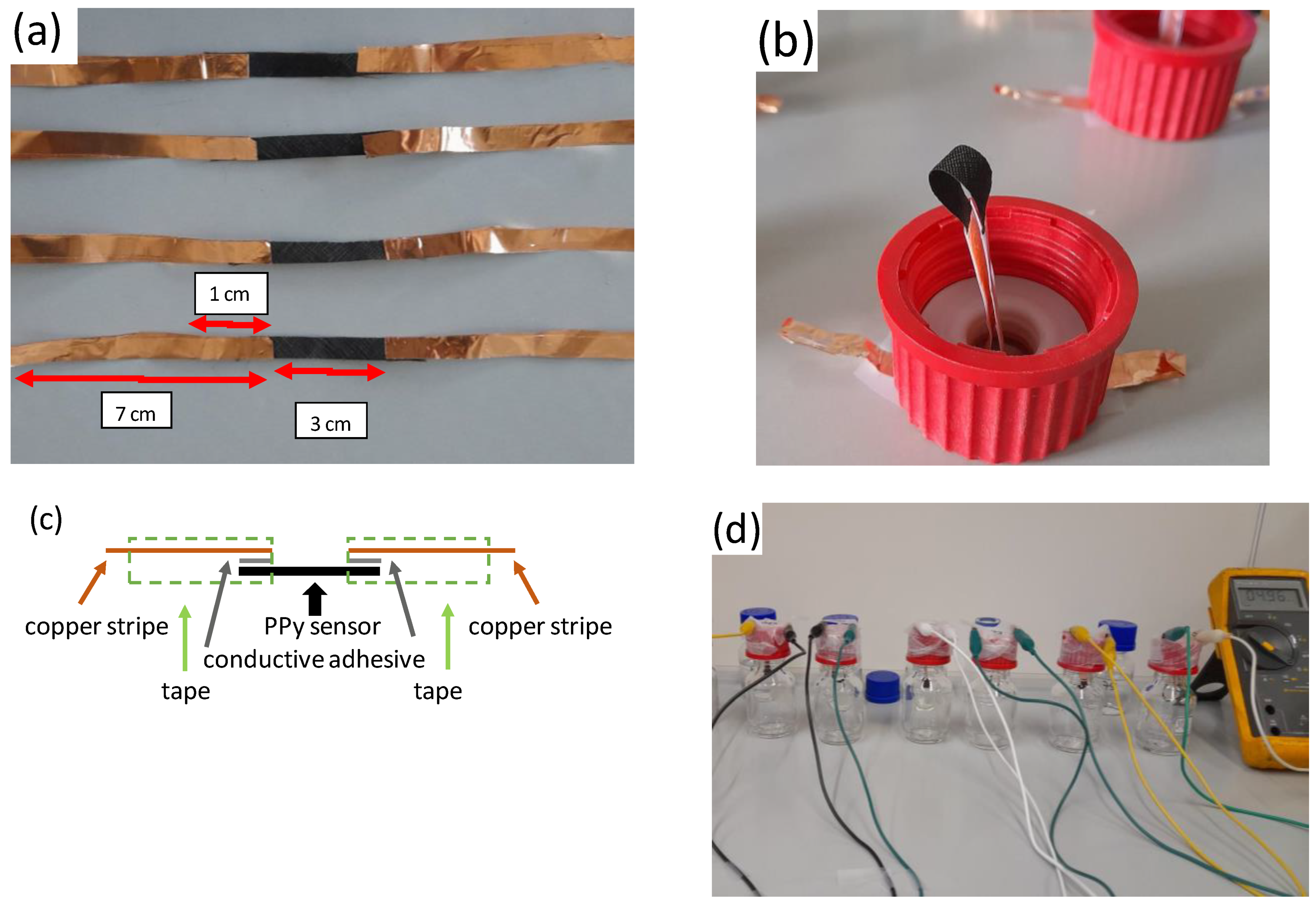 Sensors 24 01387 g002