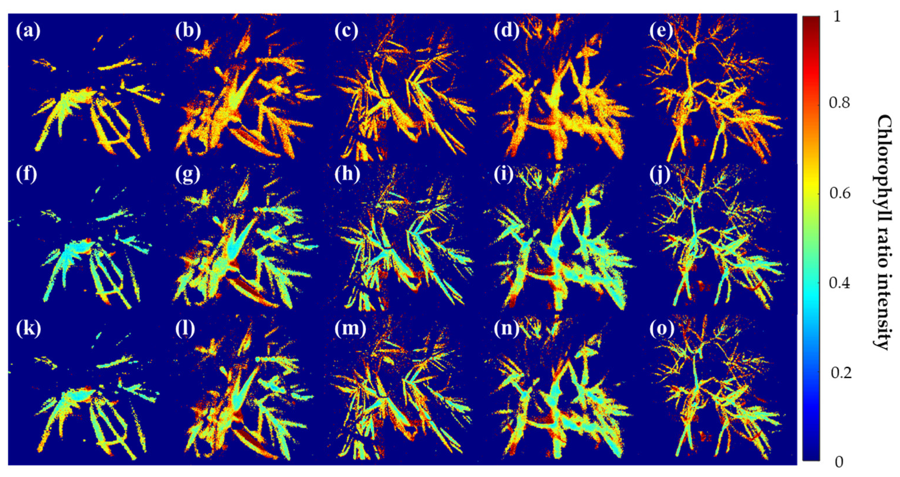 Sensors 24 01442 g005