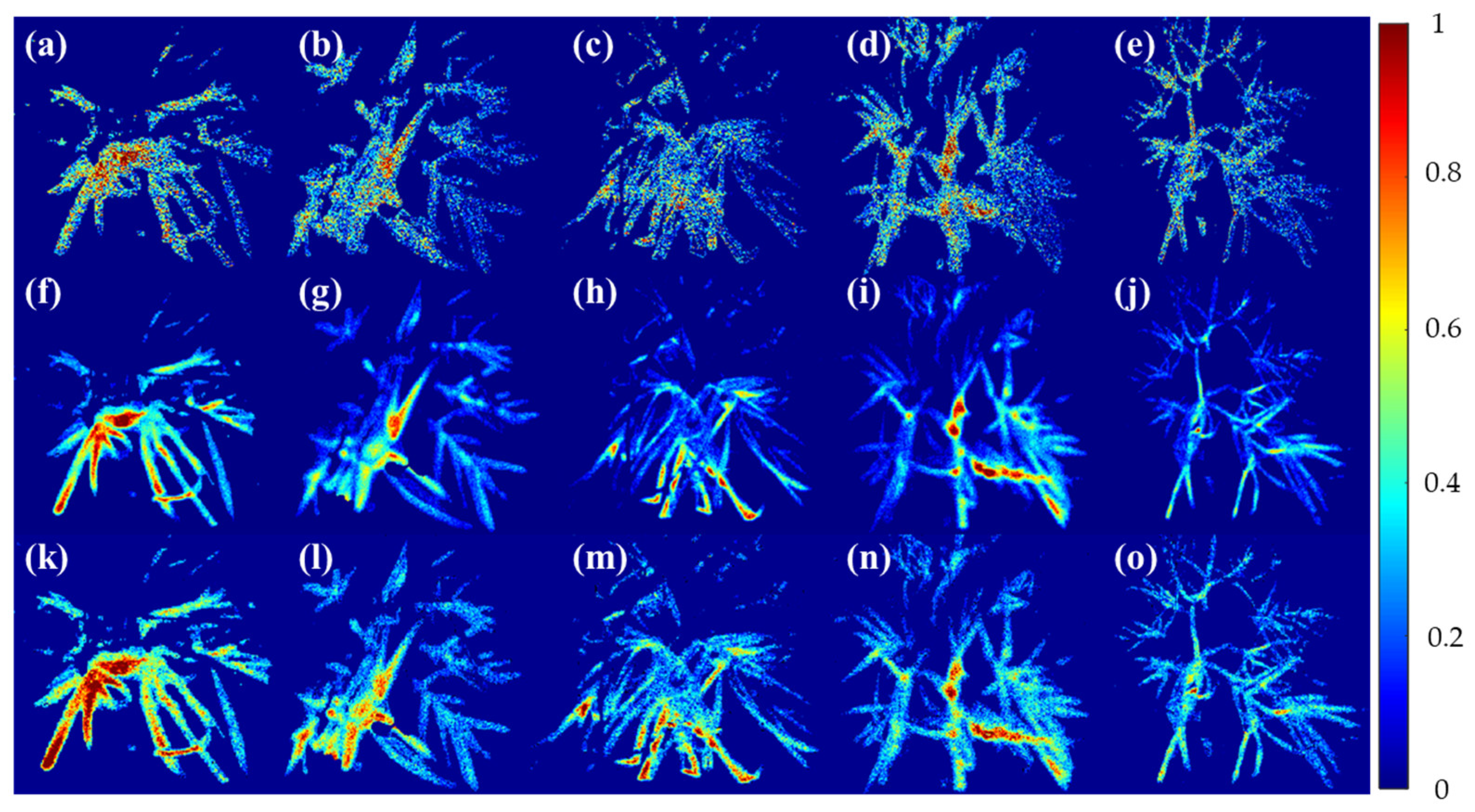 Sensors 24 01442 g008