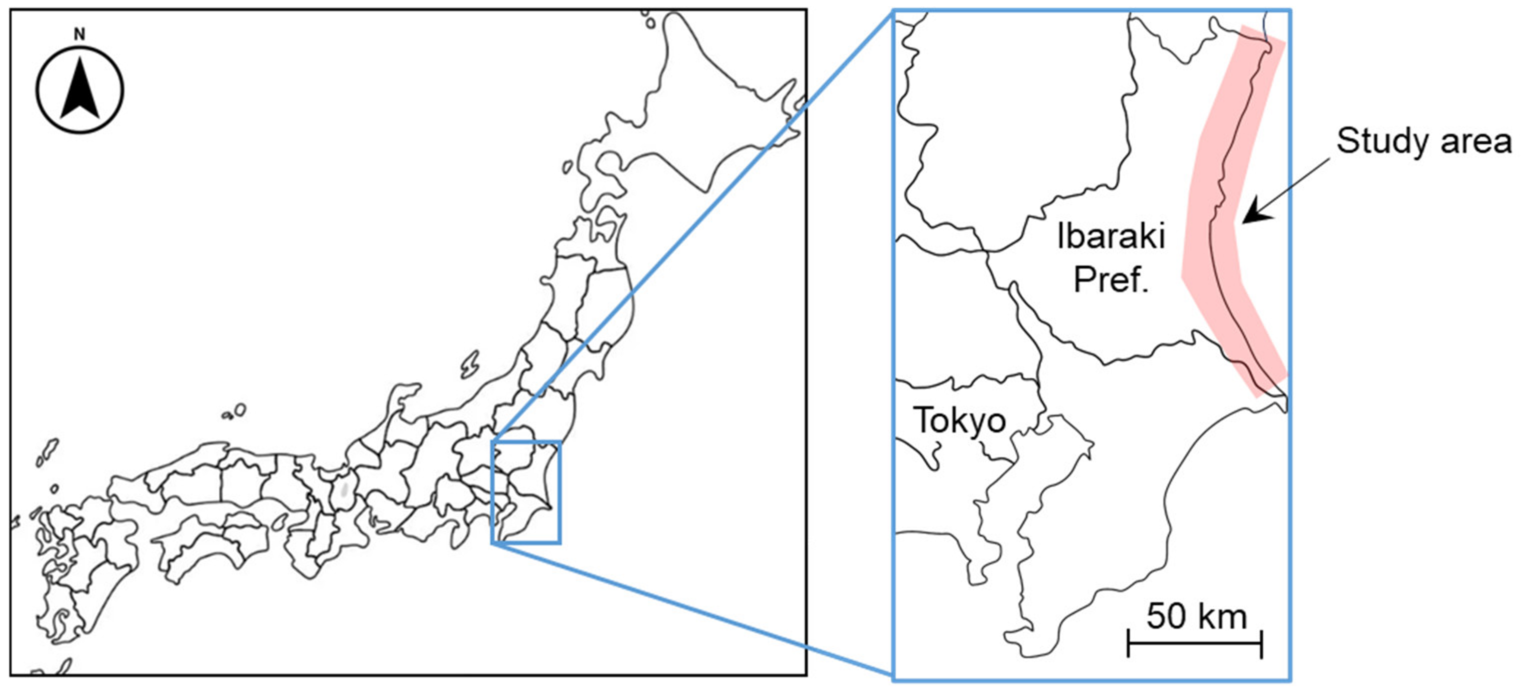 Sensors 24 01444 g002
