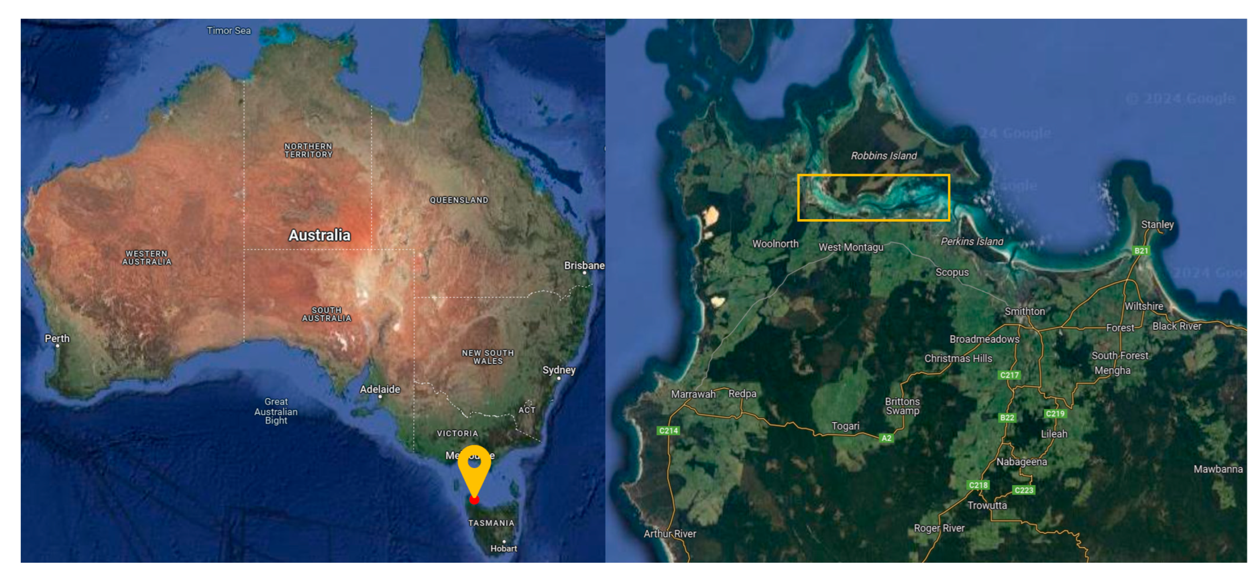 Sensors 24 01451 g006