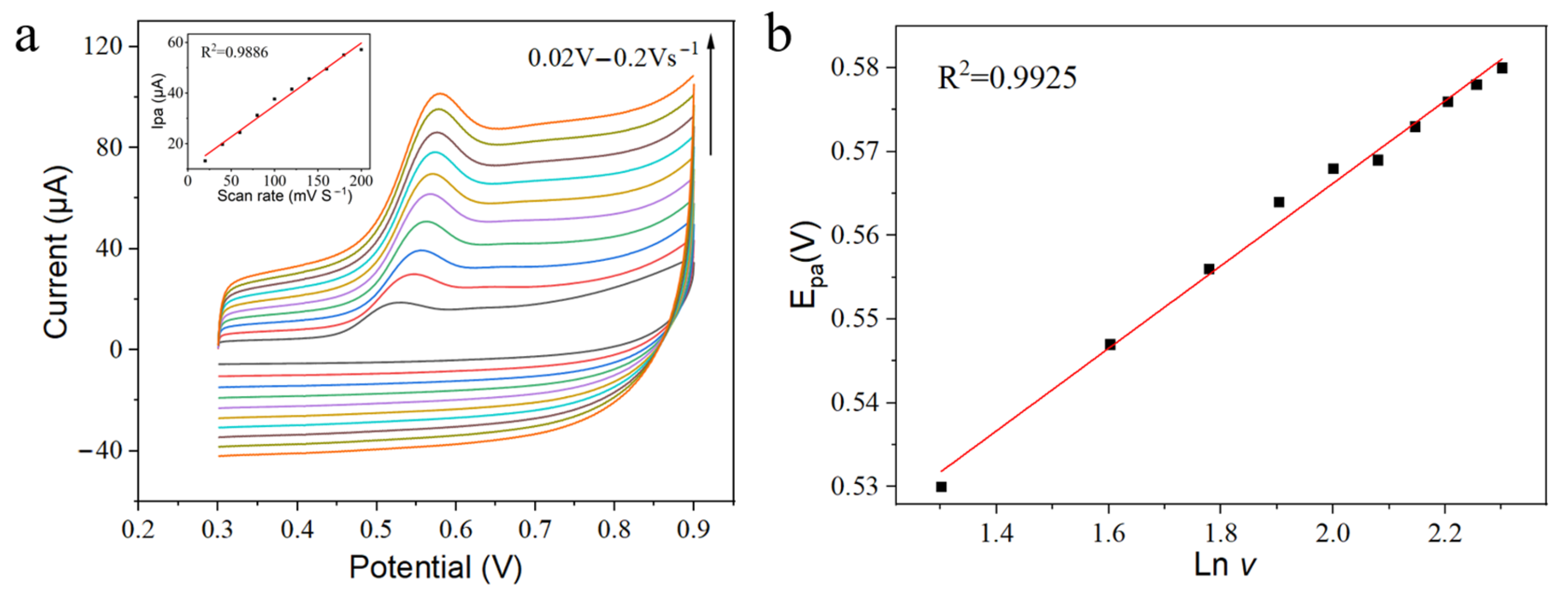Sensors 24 01465 g004