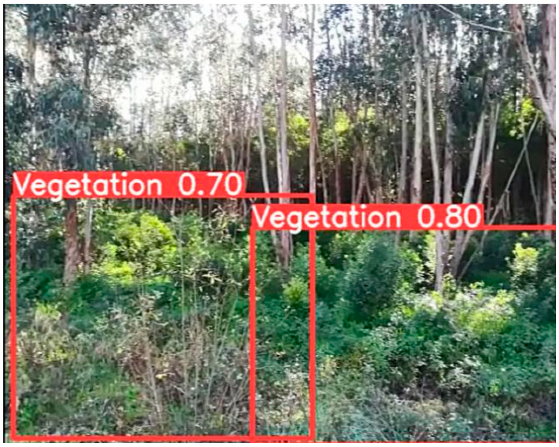 Sensors 24 01475 g013