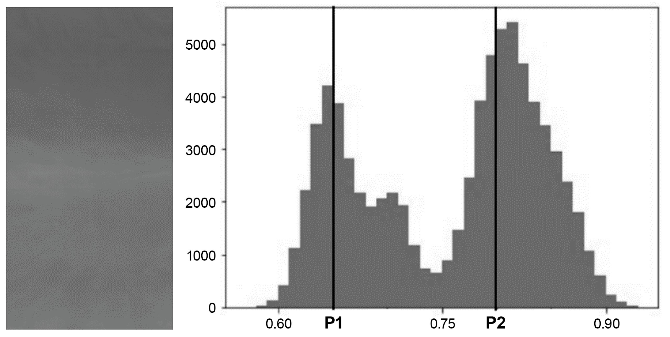 Sensors 24 01484 g005