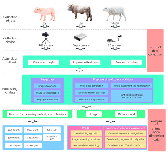 Computer-Vision-Based Sensing Technologies for Livestock Body