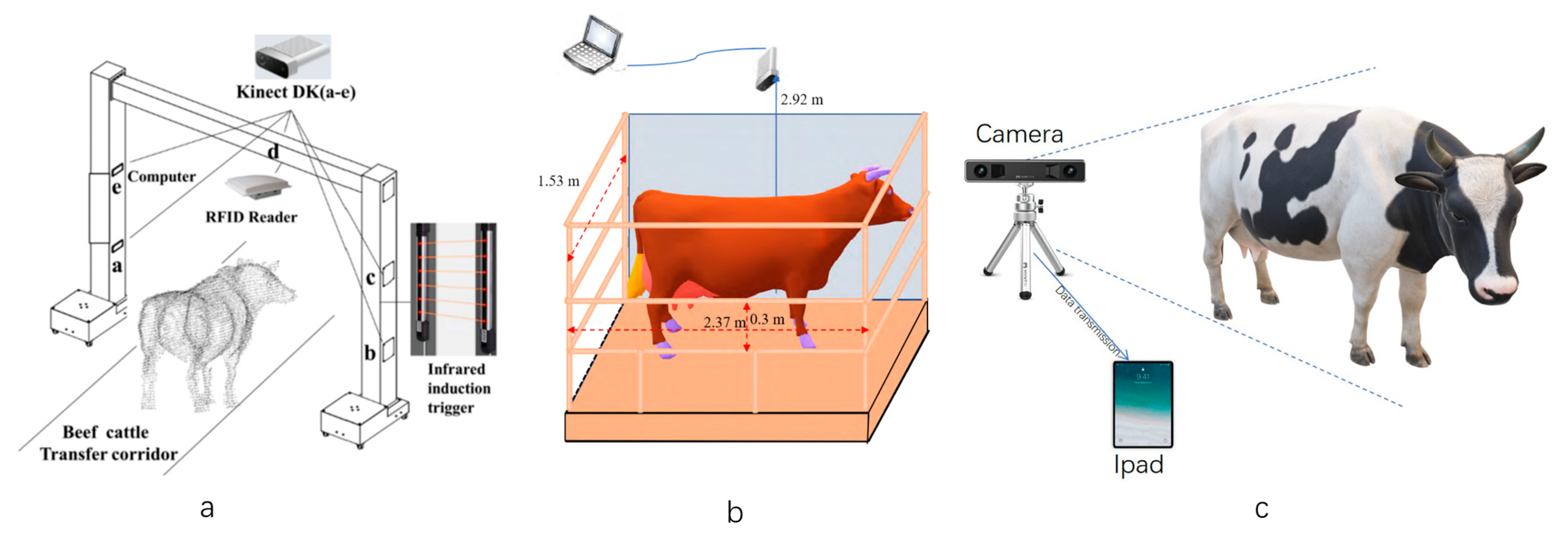 Sensors 24 01504 g003