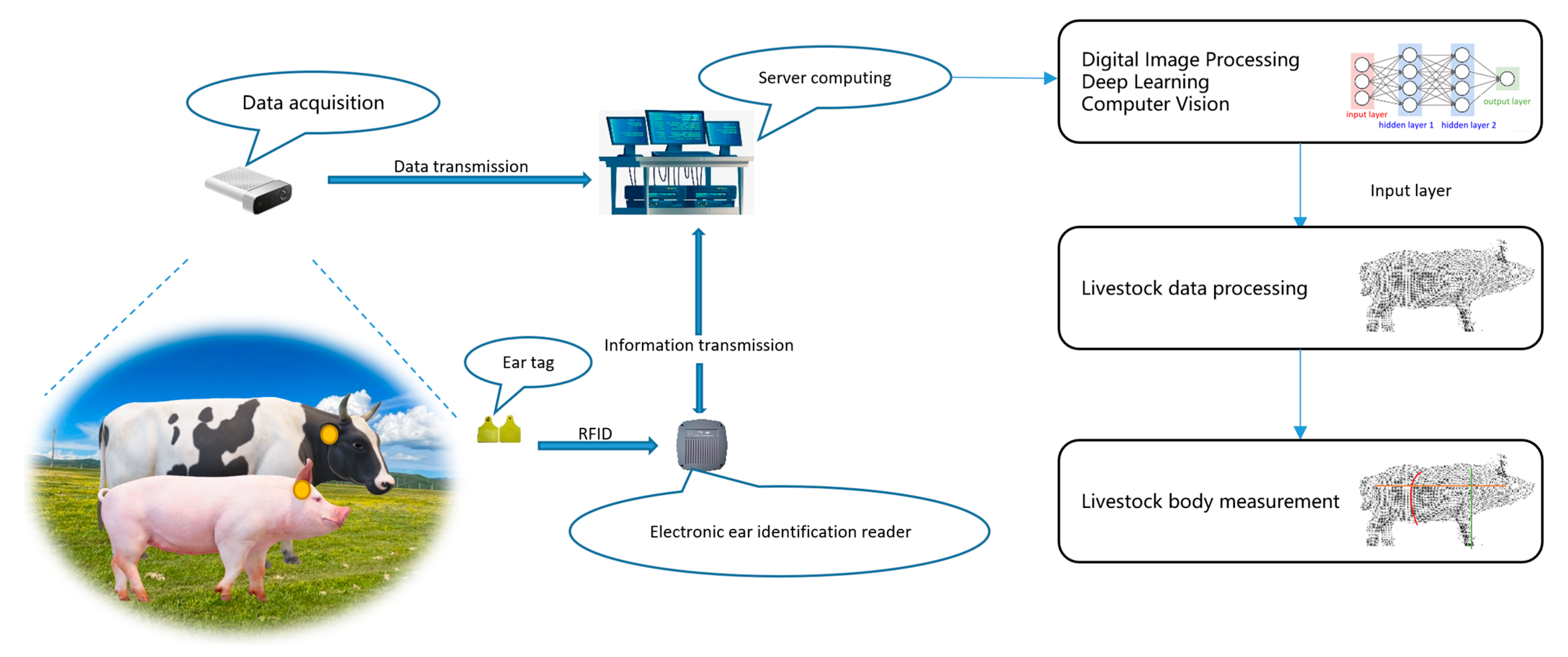 Sensors 24 01504 g012
