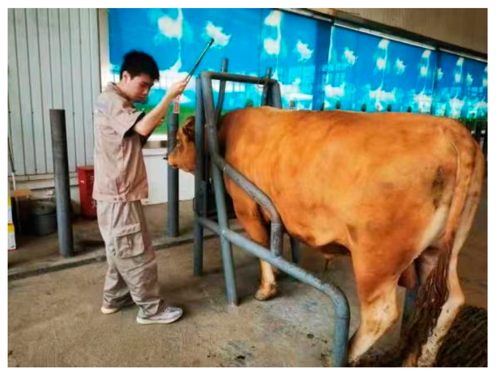 Sensors 24 01504 g013