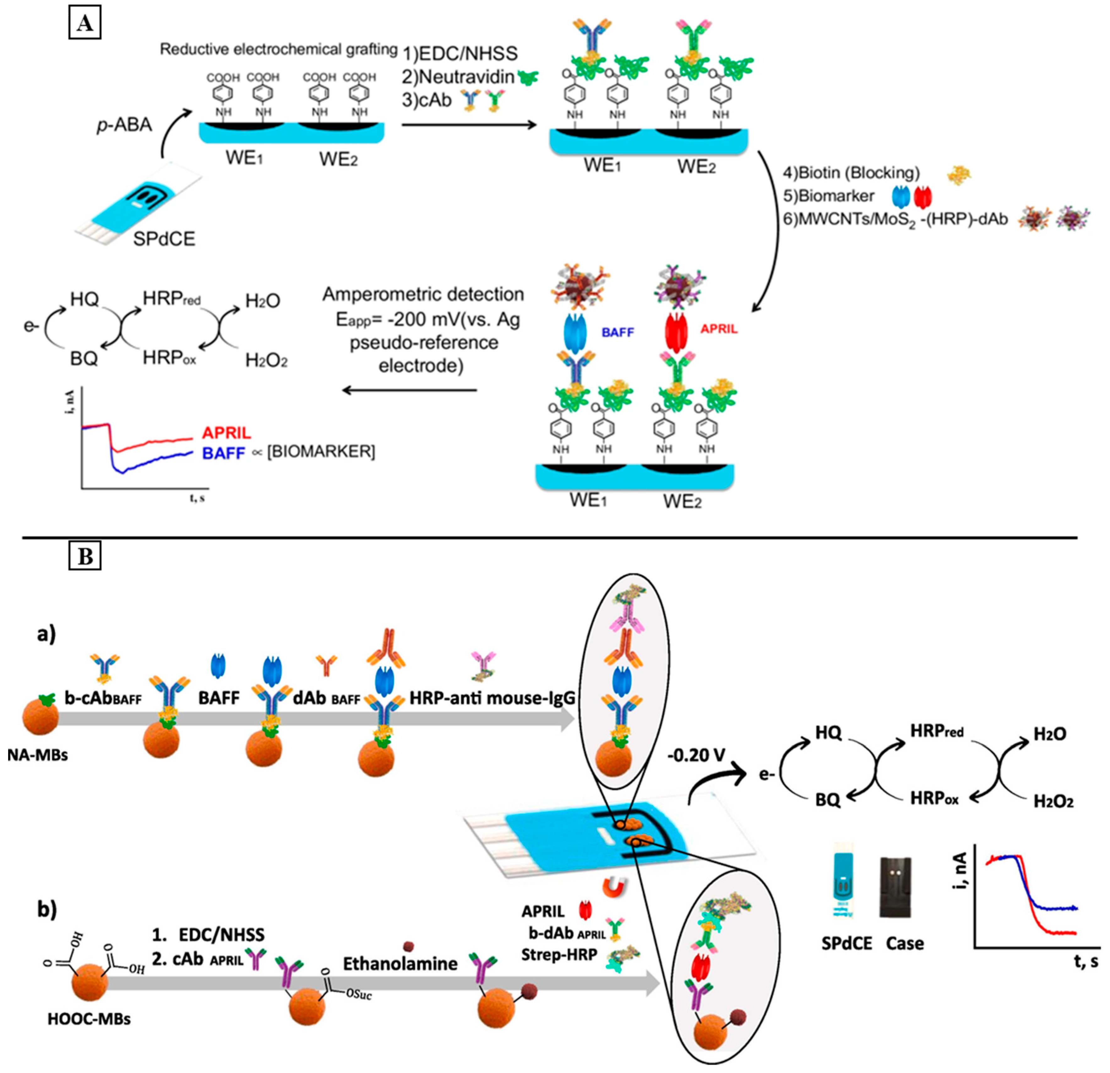 Sensors 24 01510 g005