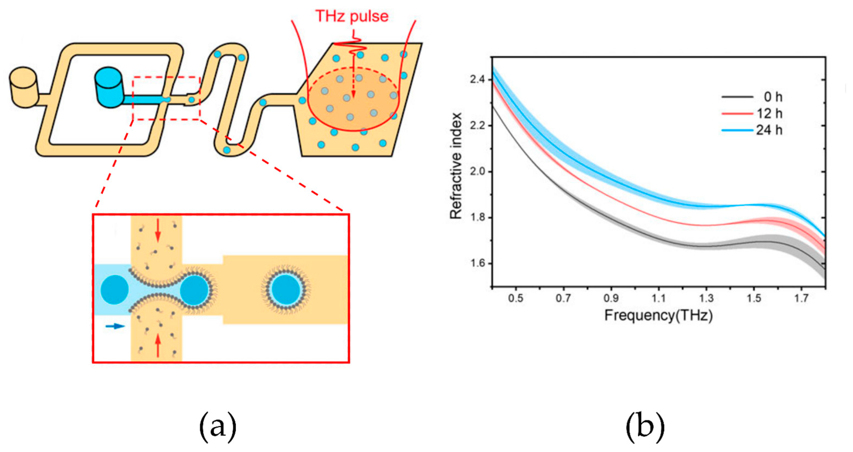 Sensors 24 01529 g003 Sensors 24 01529 g003