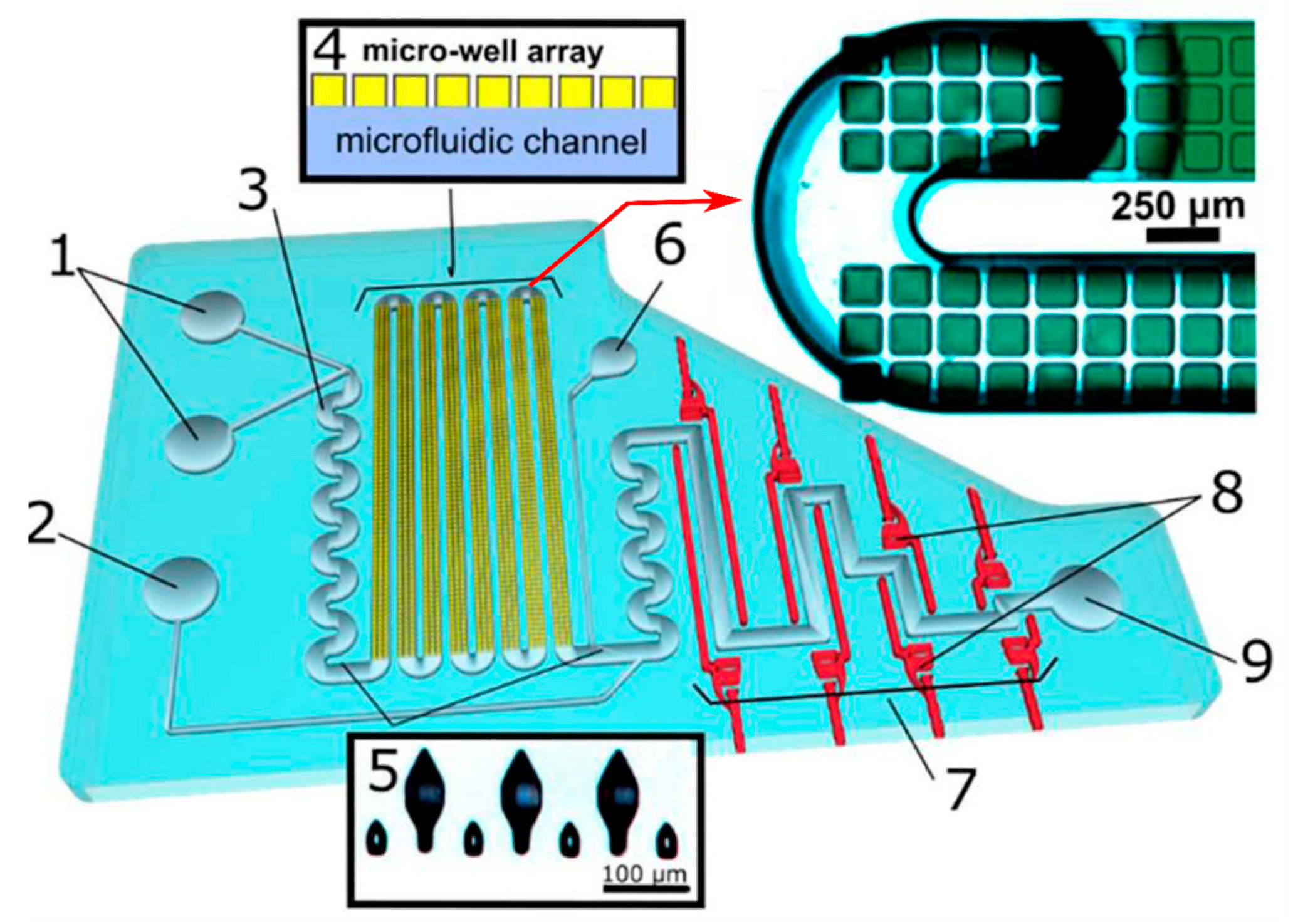 Sensors 24 01529 g004 Sensors 24 01529 g004