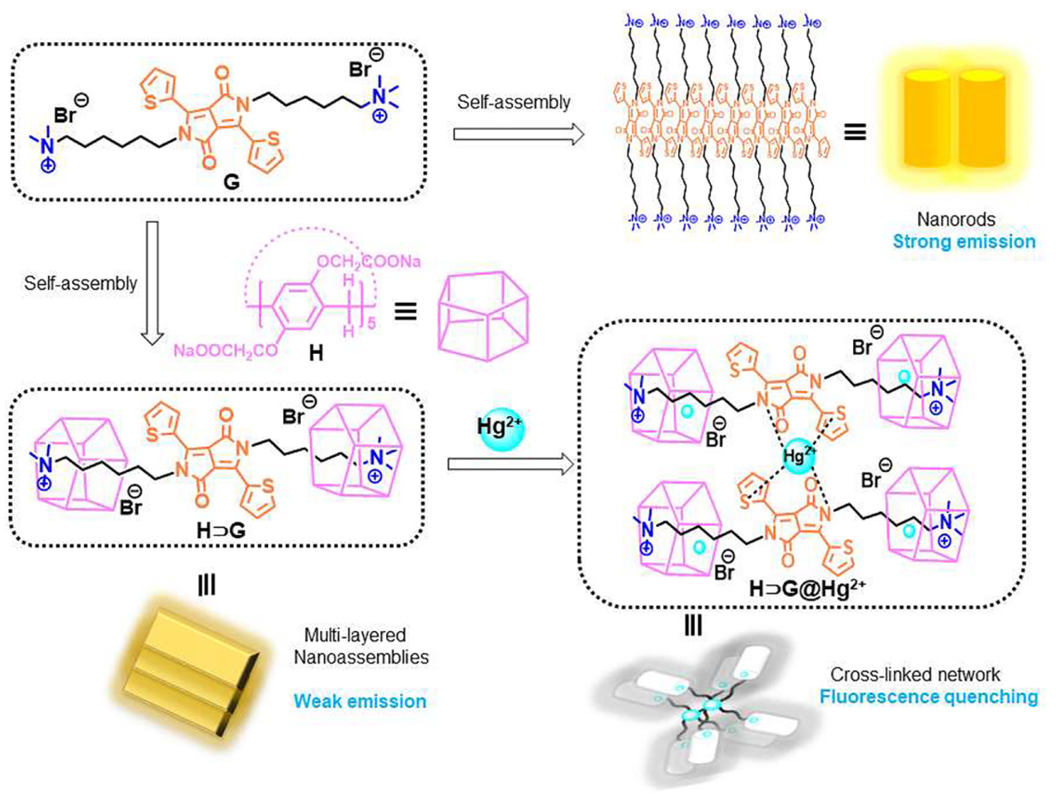 Sensors 24 01530 g004