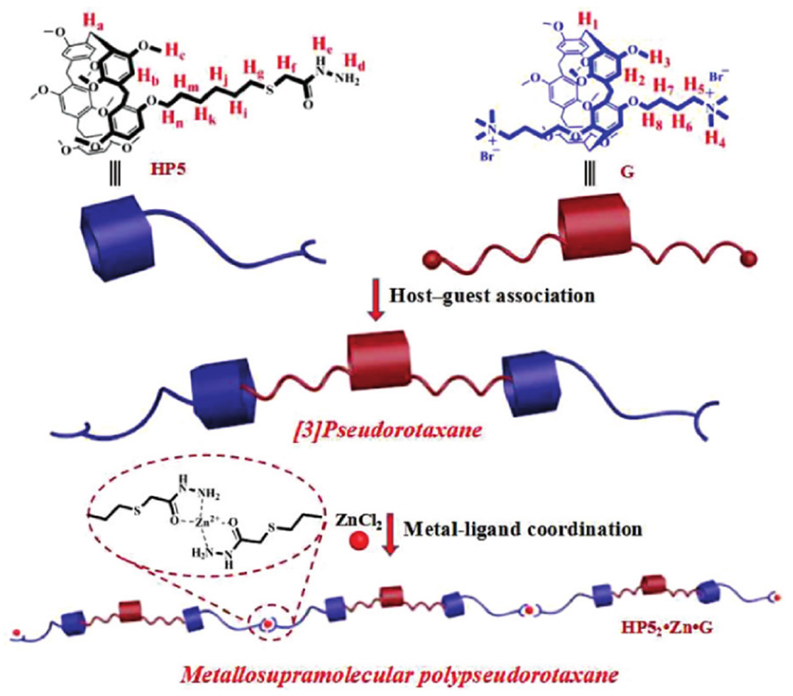 Sensors 24 01530 g005