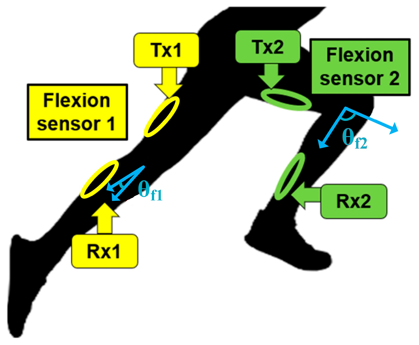 Sensors 24 01549 g001