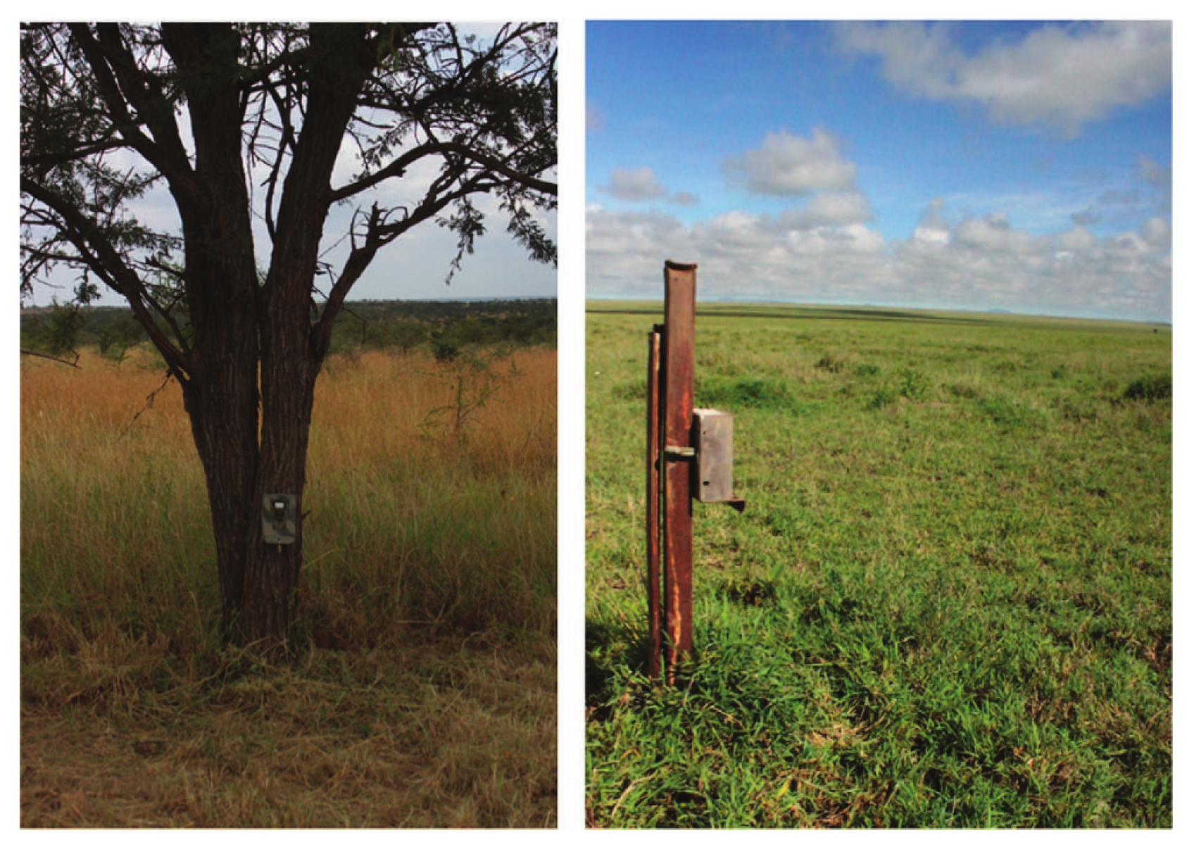 Sensors 24 01565 g001