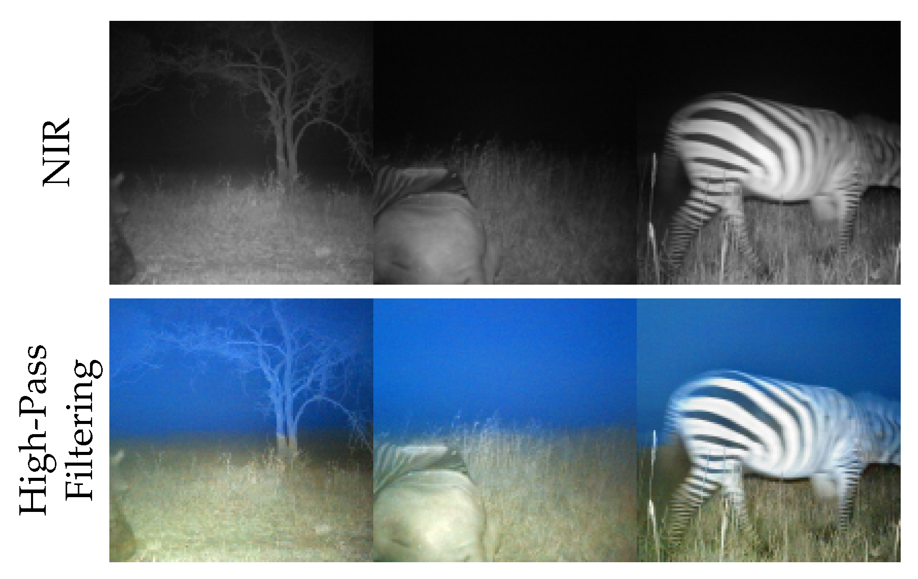 Sensors 24 01565 g006