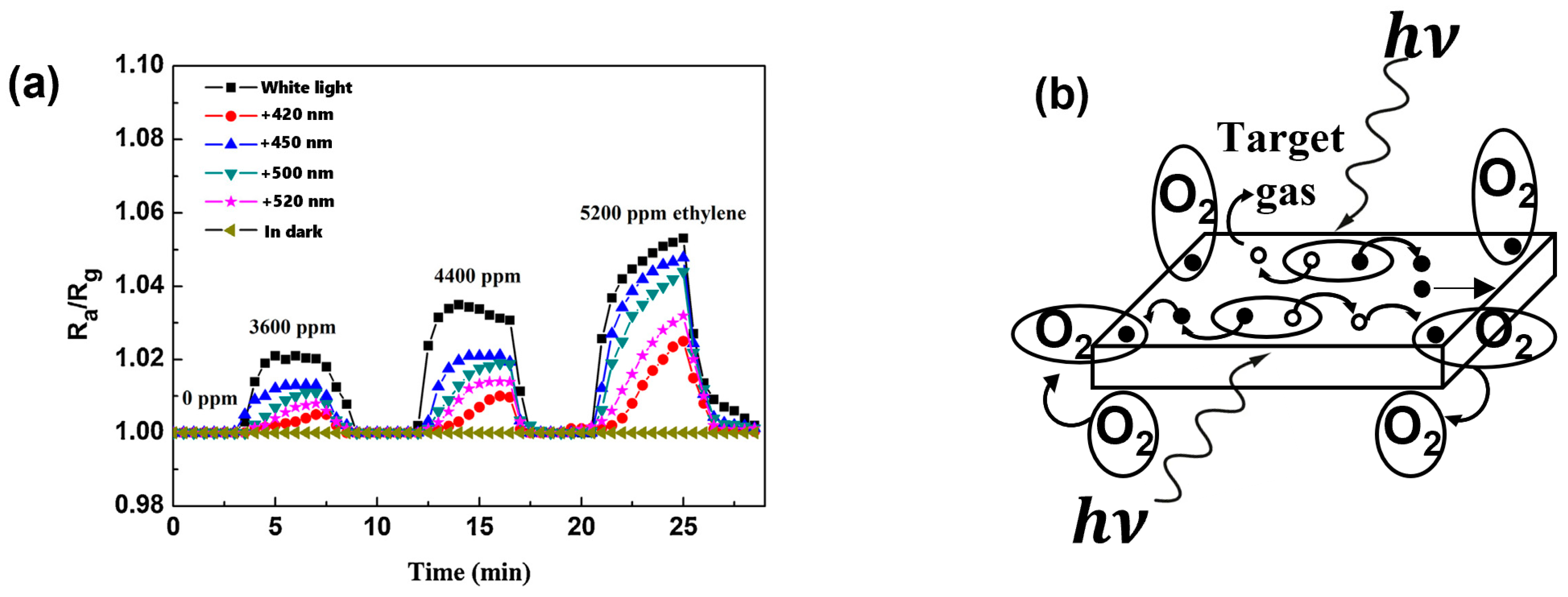 Sensors 24 01571 g002