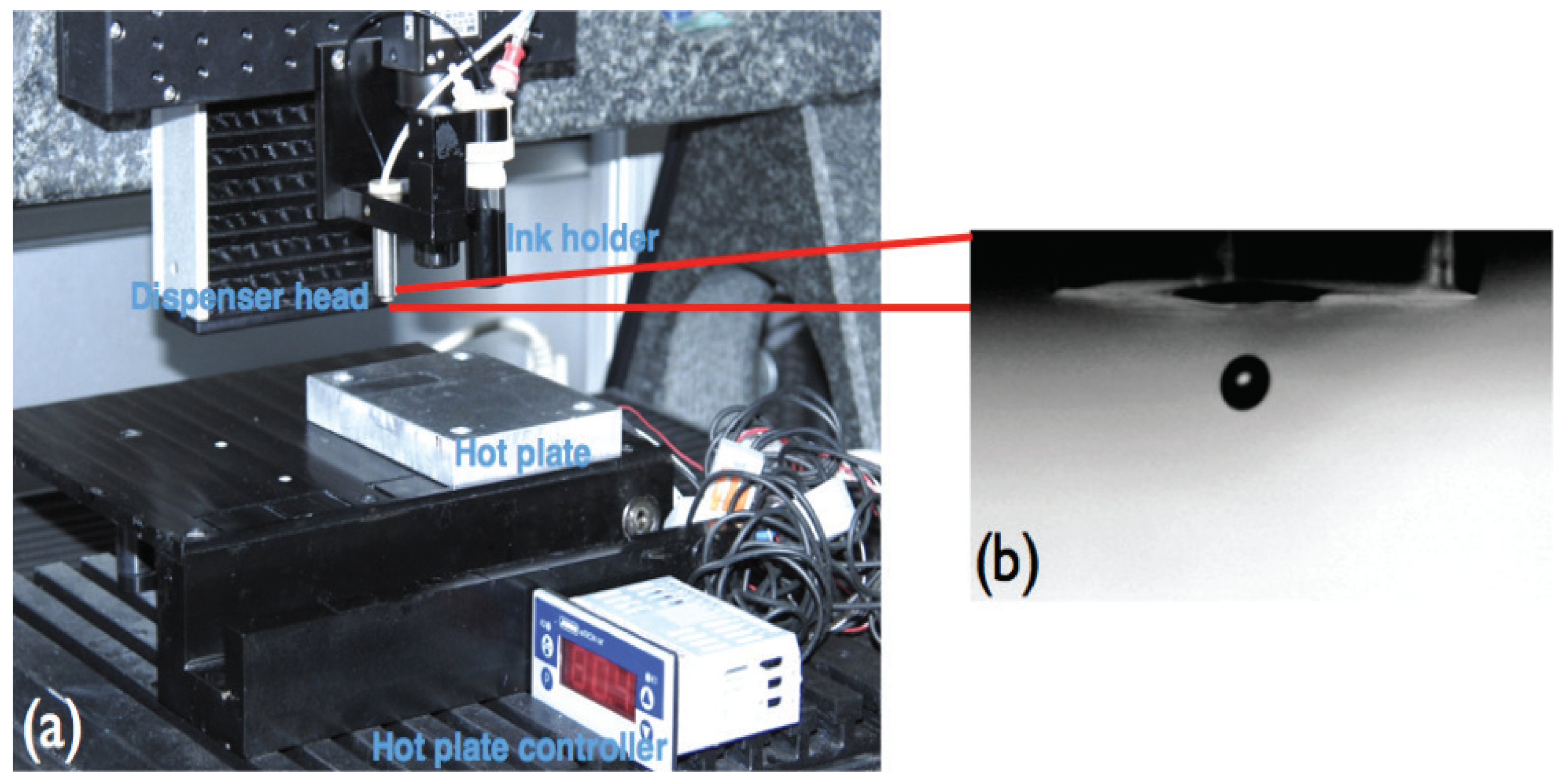 Sensors 24 01585 g003